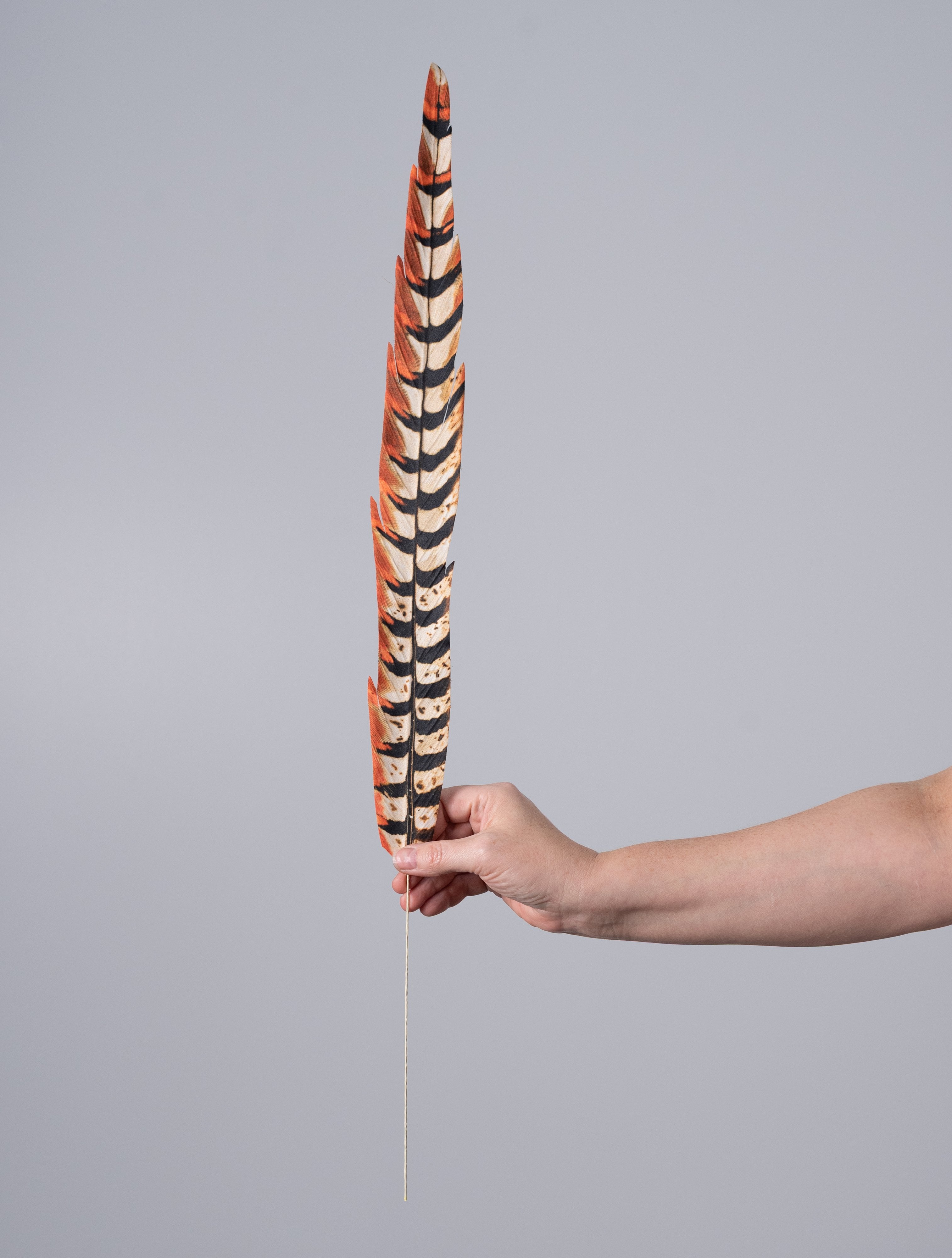 27" Faux Pheasant Feather Spray: Cream, Black & Rust detail photo 3