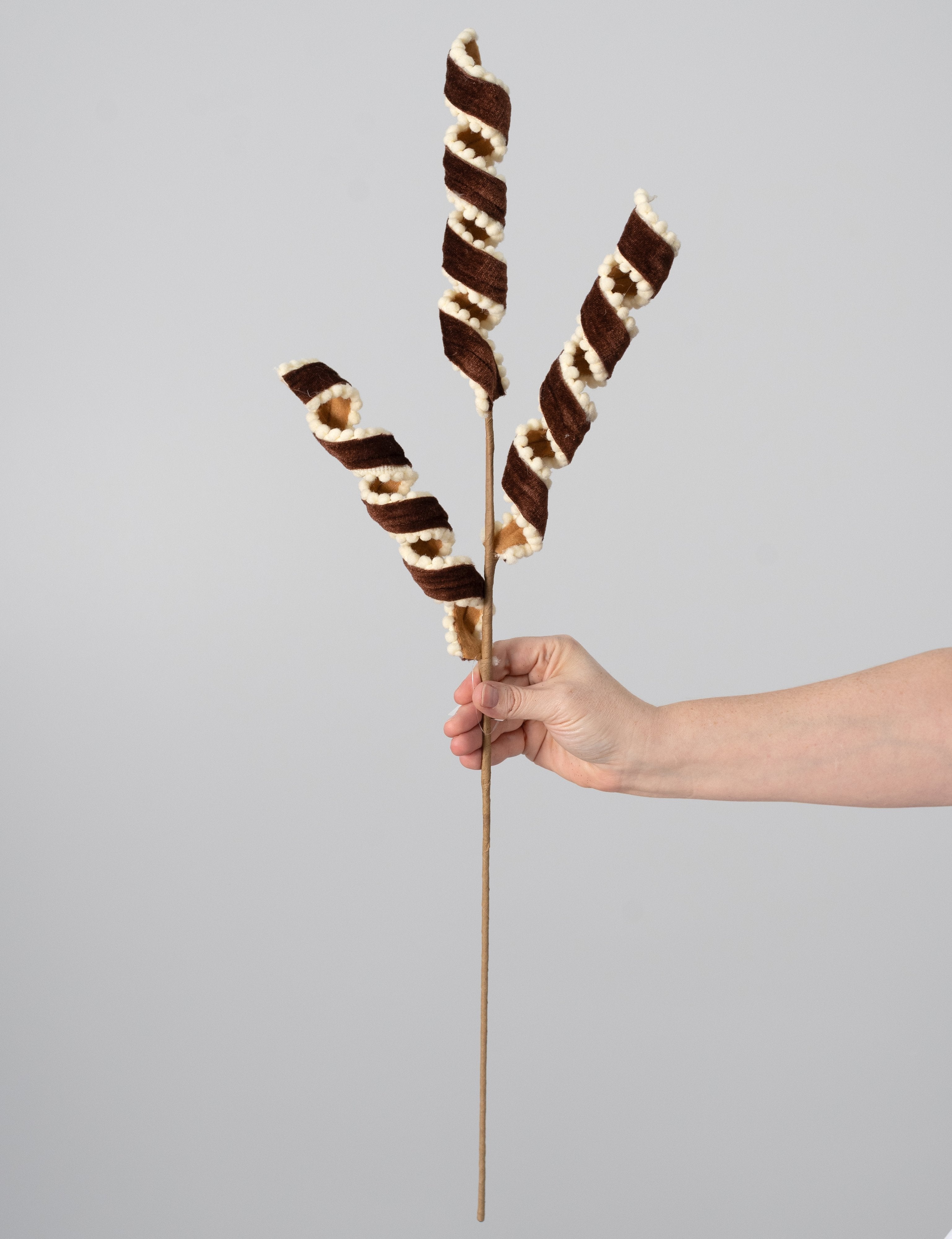 27" Velvet & Snowball Curly Ribbon Spray: Gingerbread detail photo 3