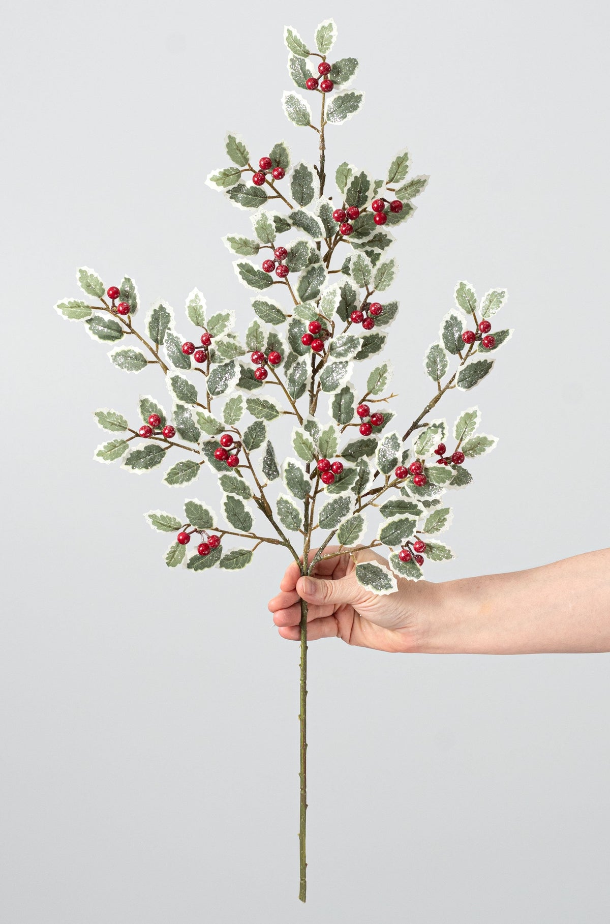 28" Glittered Foster Holly Spray detail photo 3