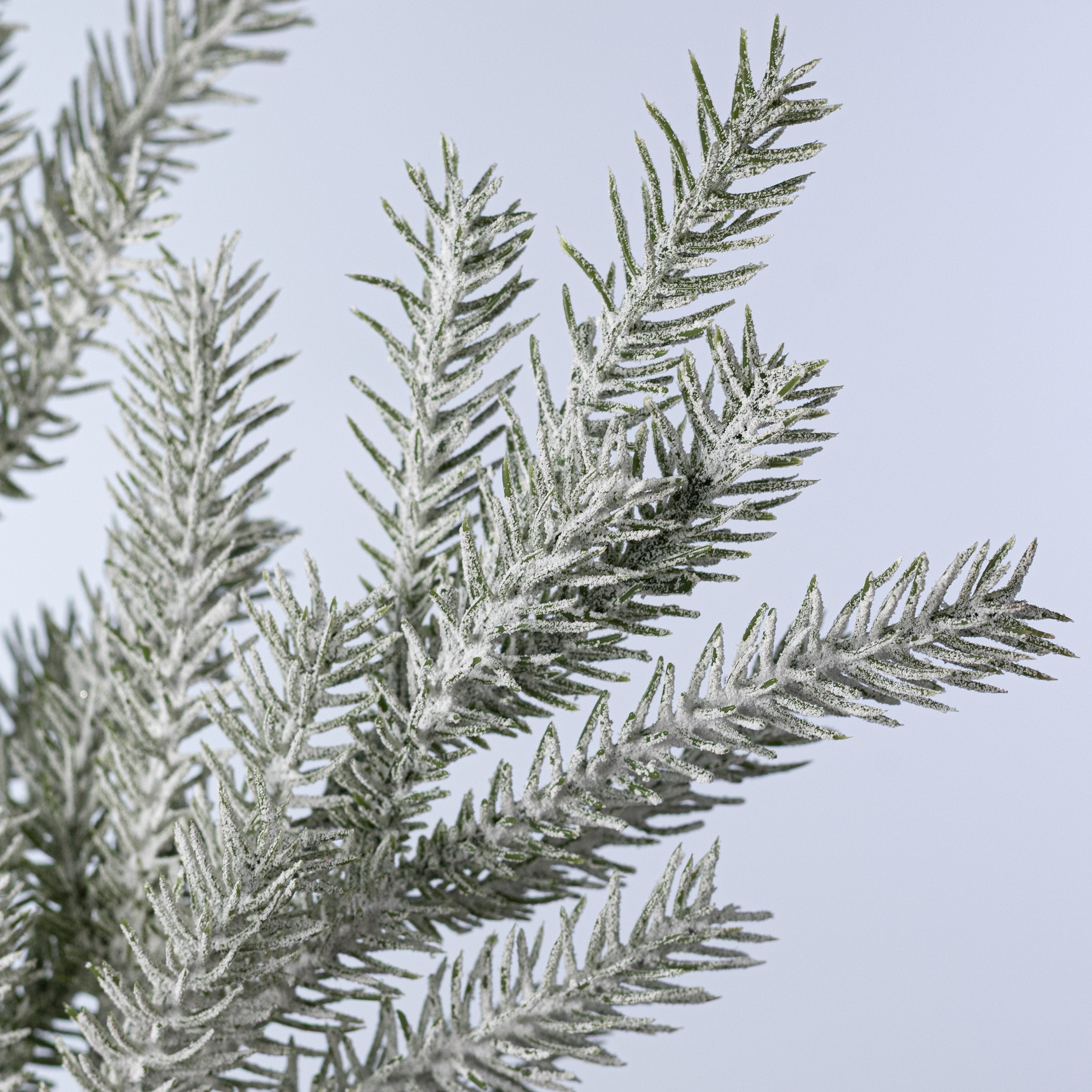 28" Snowy Flocked Norfolk Pine Spray Lifestyle Photo