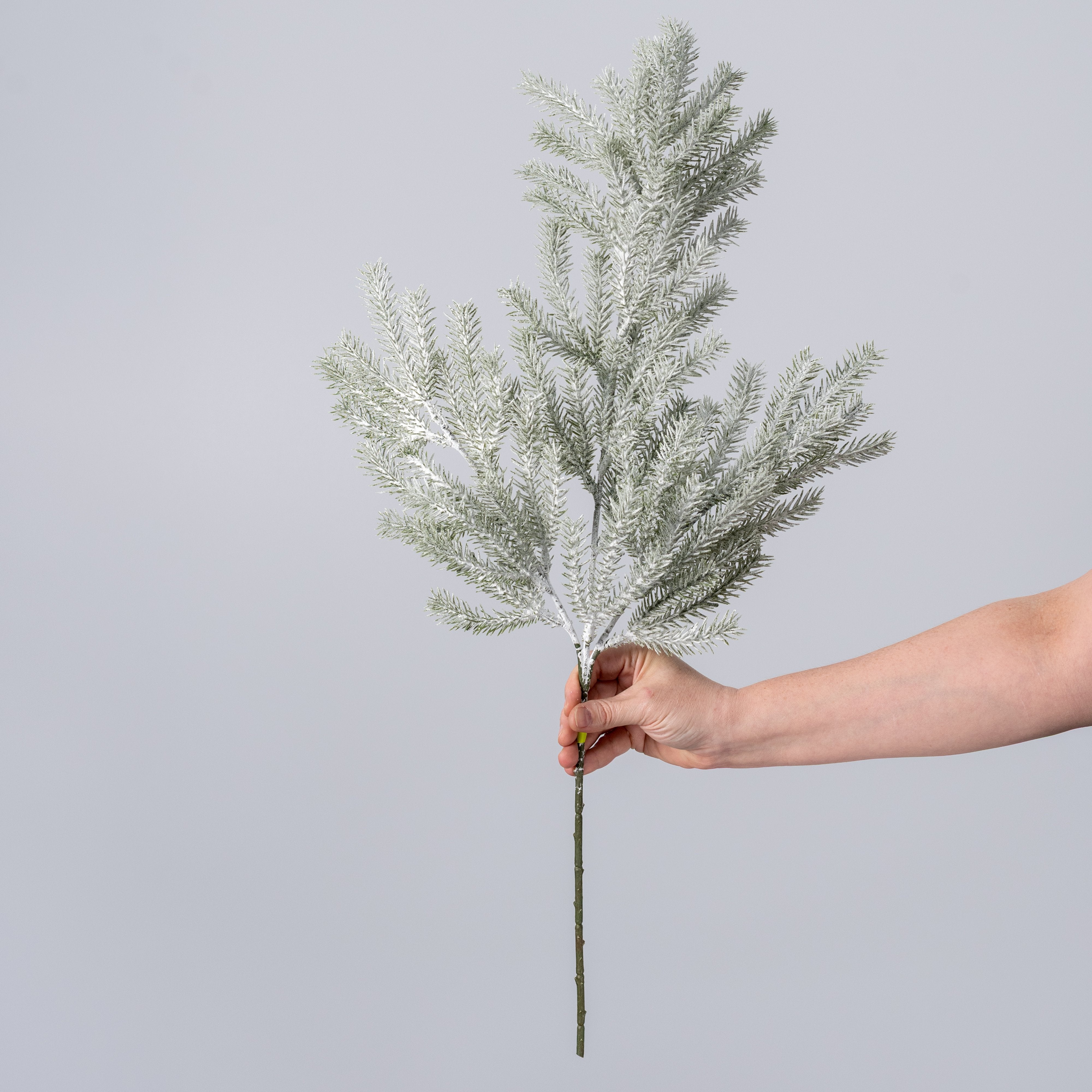 28" Snowy Flocked Norfolk Pine Spray detail photo 3