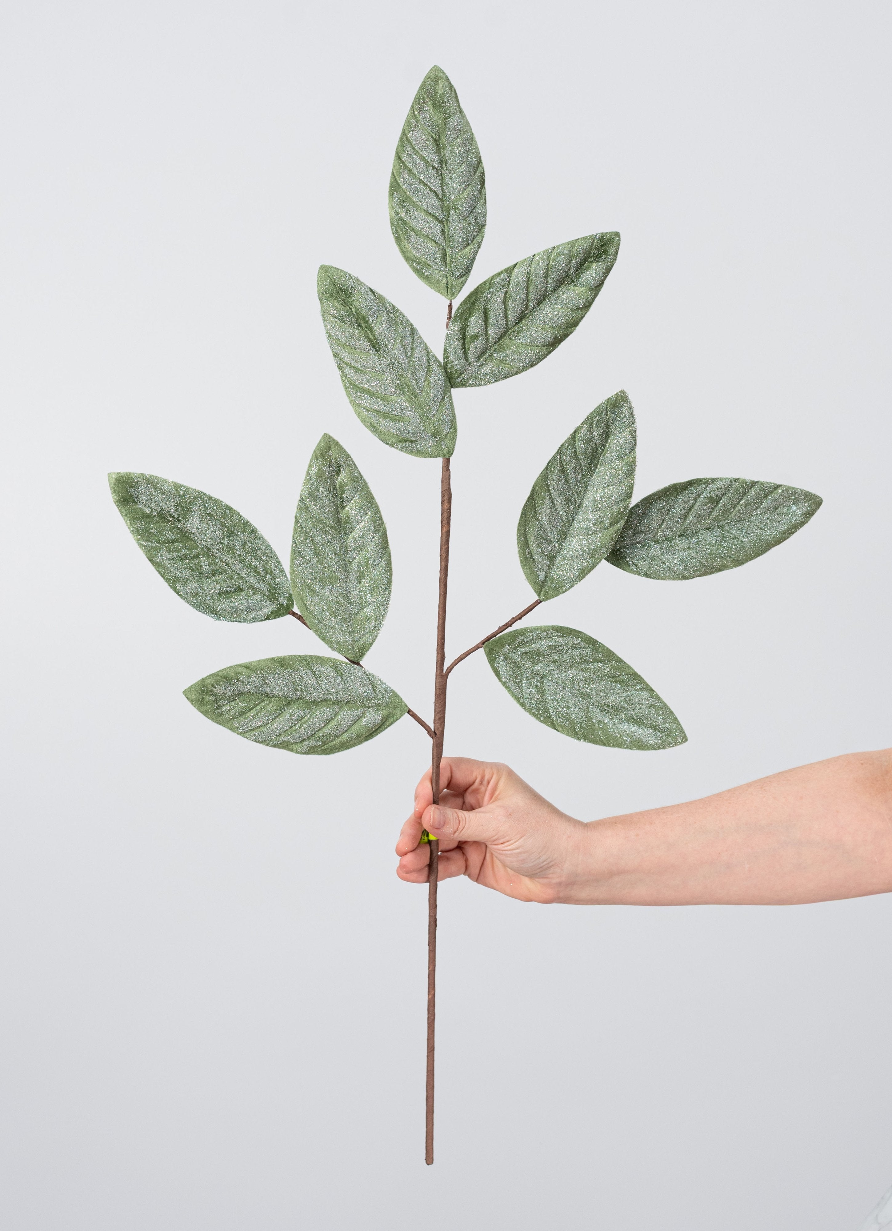 28" Sparkle Magnolia Leaves Spray: Sage Green detail photo 3