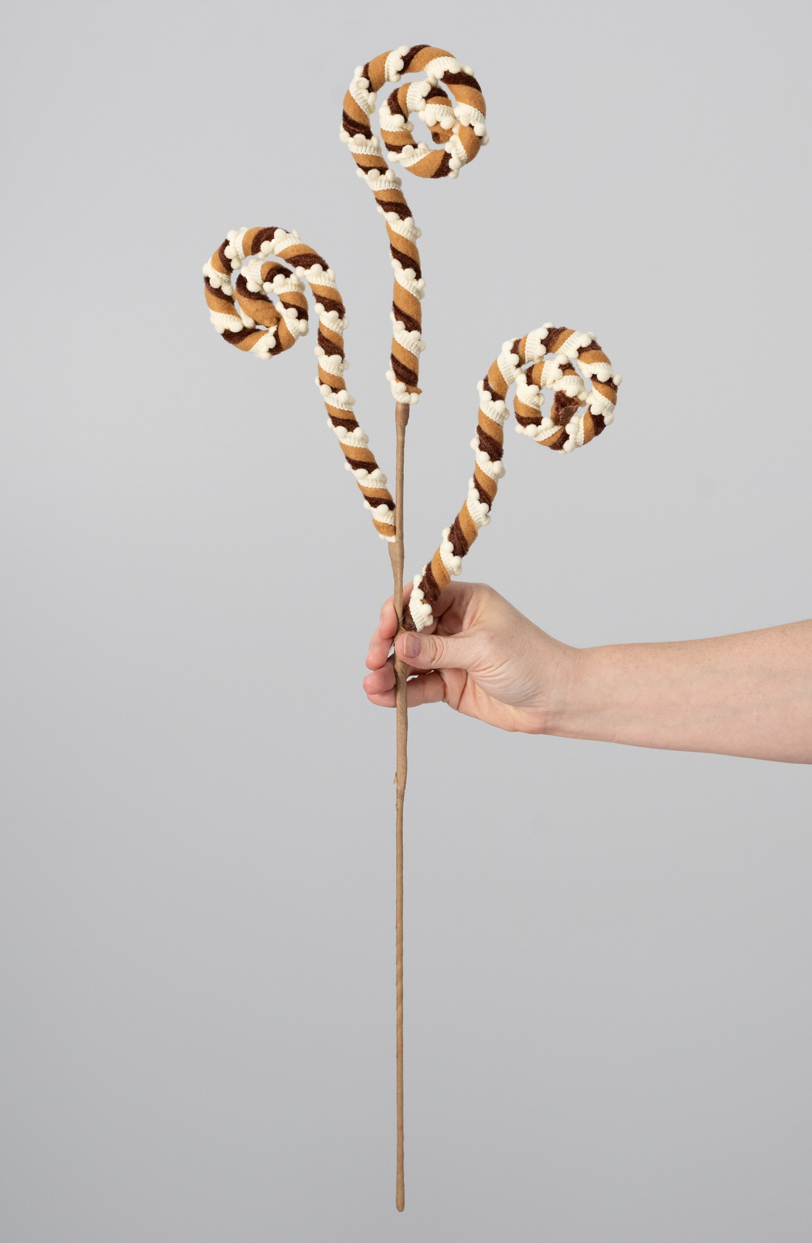 28" Velvet & Snowball Coil Spray: Gingerbread detail photo 3