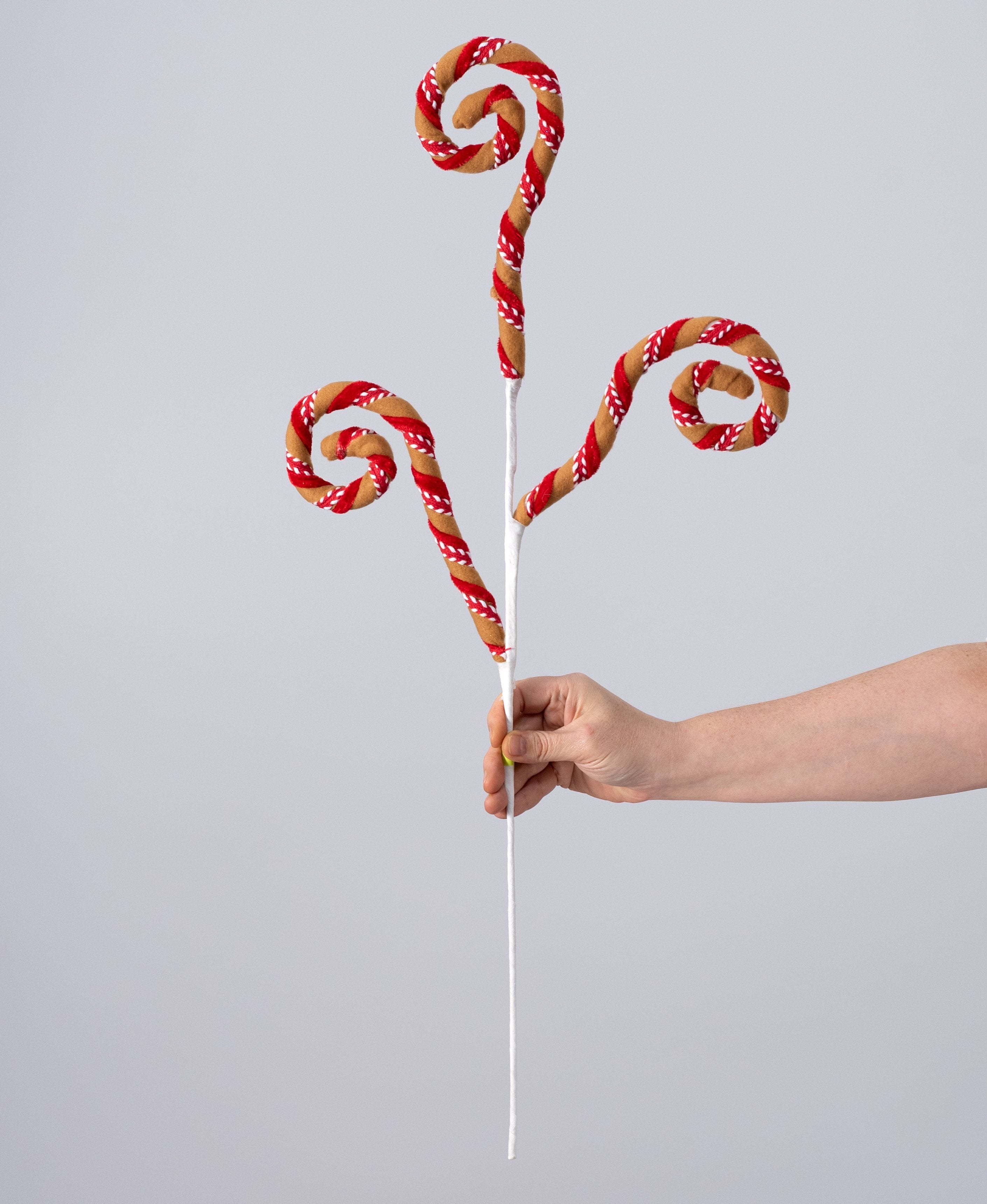 28" Velvet & Trim Spiral Curly Spray: Red Gingerbread detail photo 3