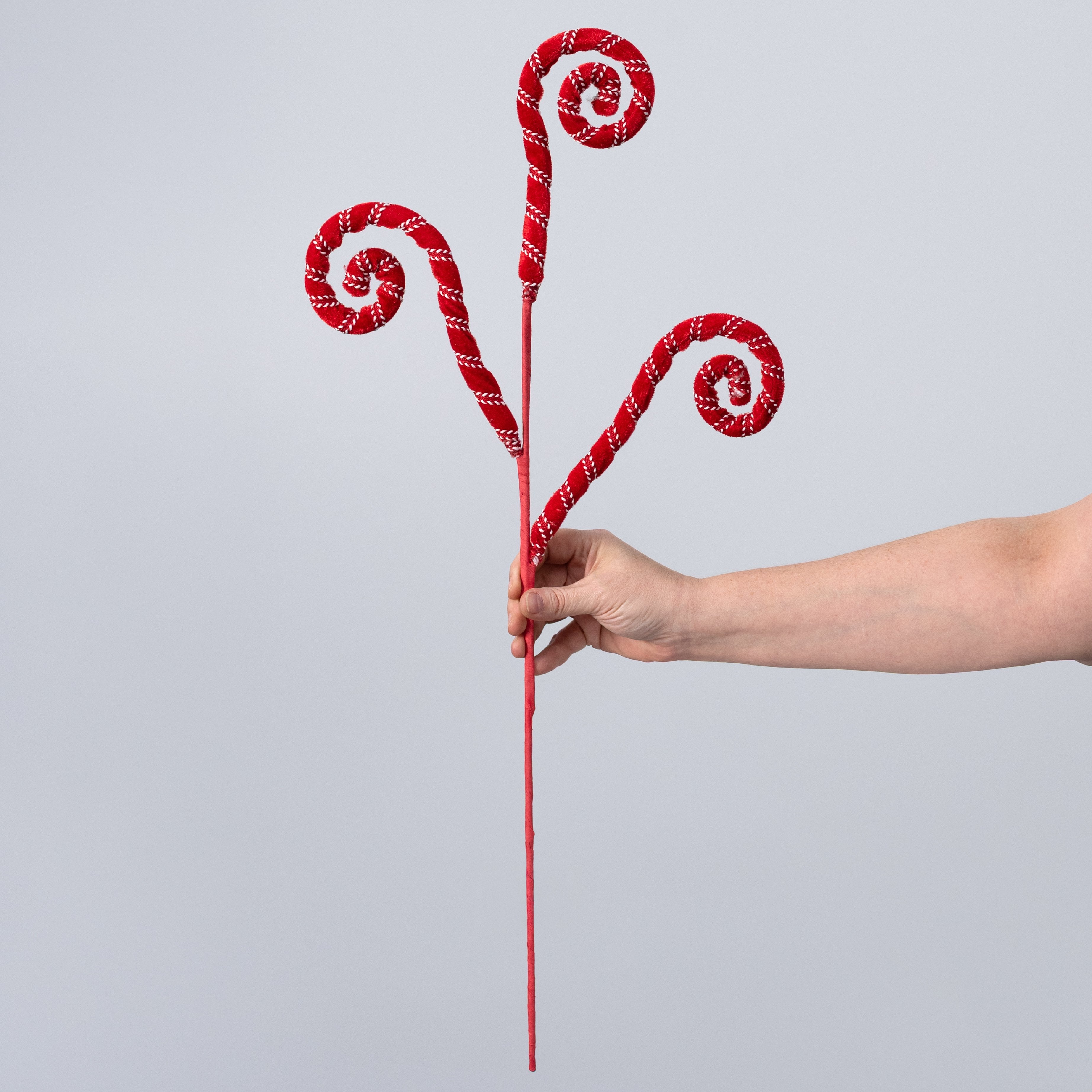 28" Velvet & Trim Spiral Curly Spray: Red & White detail photo 3