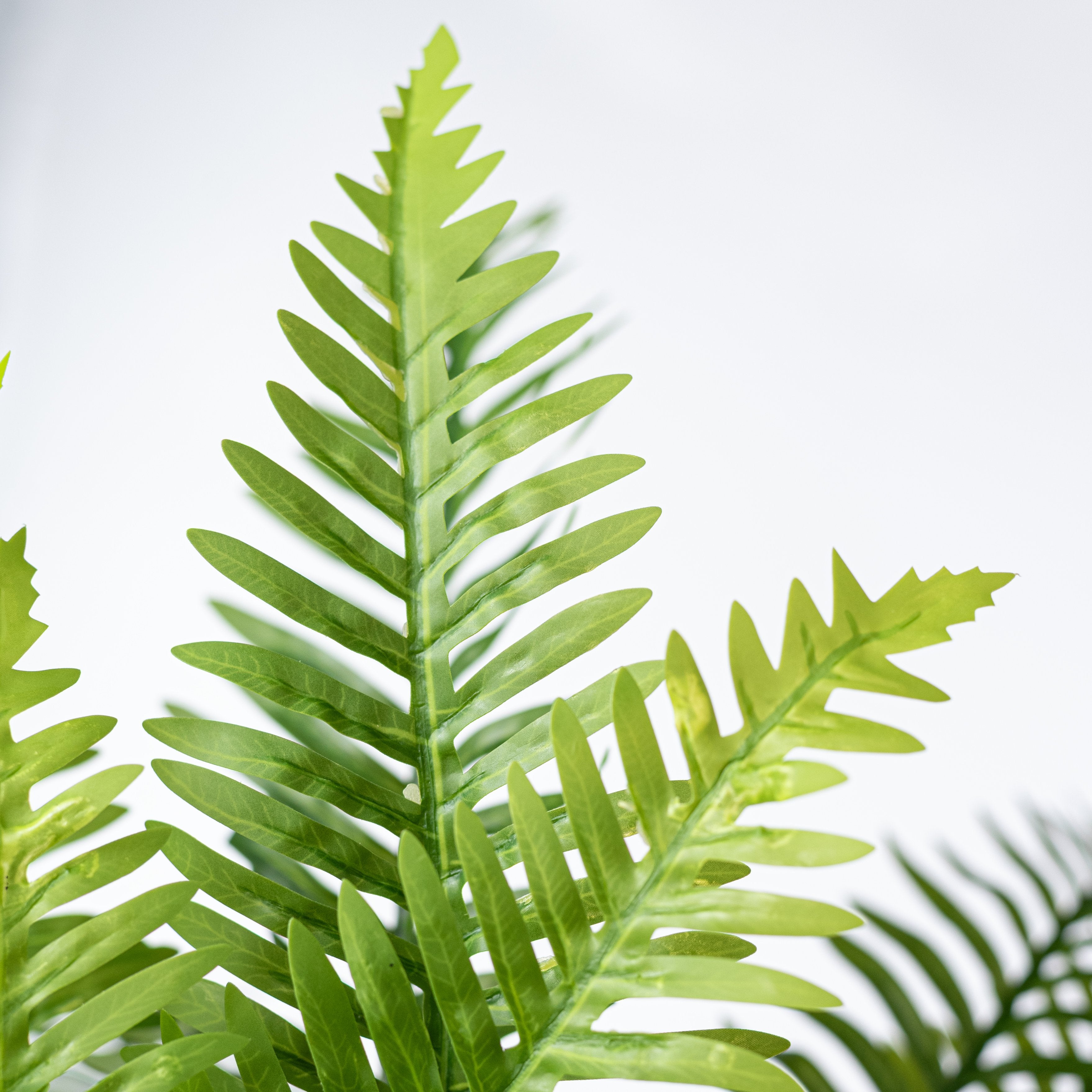 29" Faux Fern Bush: Green (6 Stem) detail photo 3
