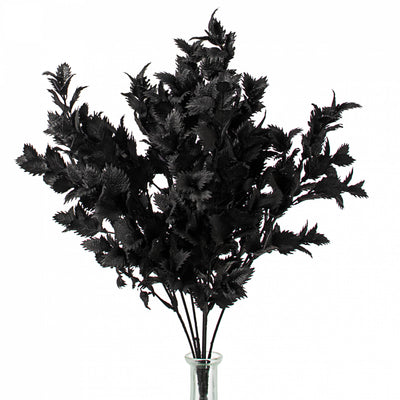 19" Spiky Thistle Leaves Bush: Black