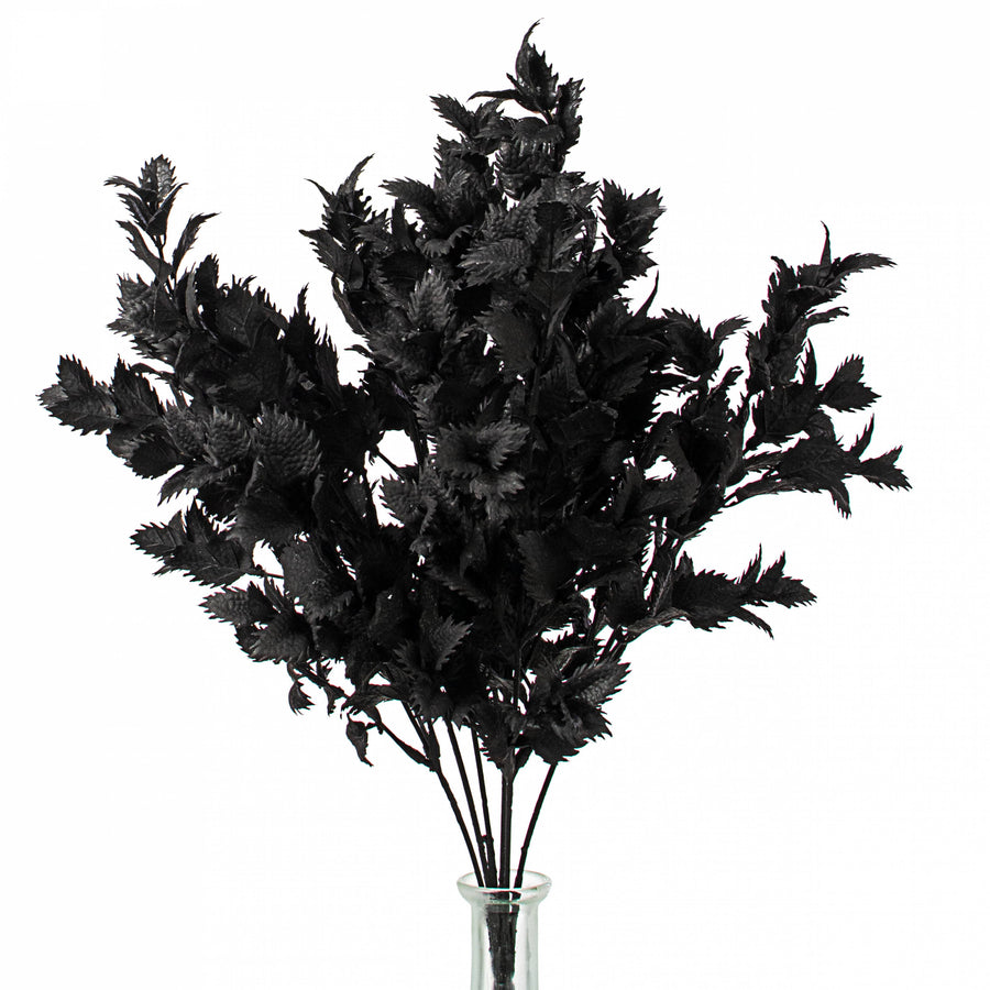 19" Spiky Thistle Leaves Bush: Black