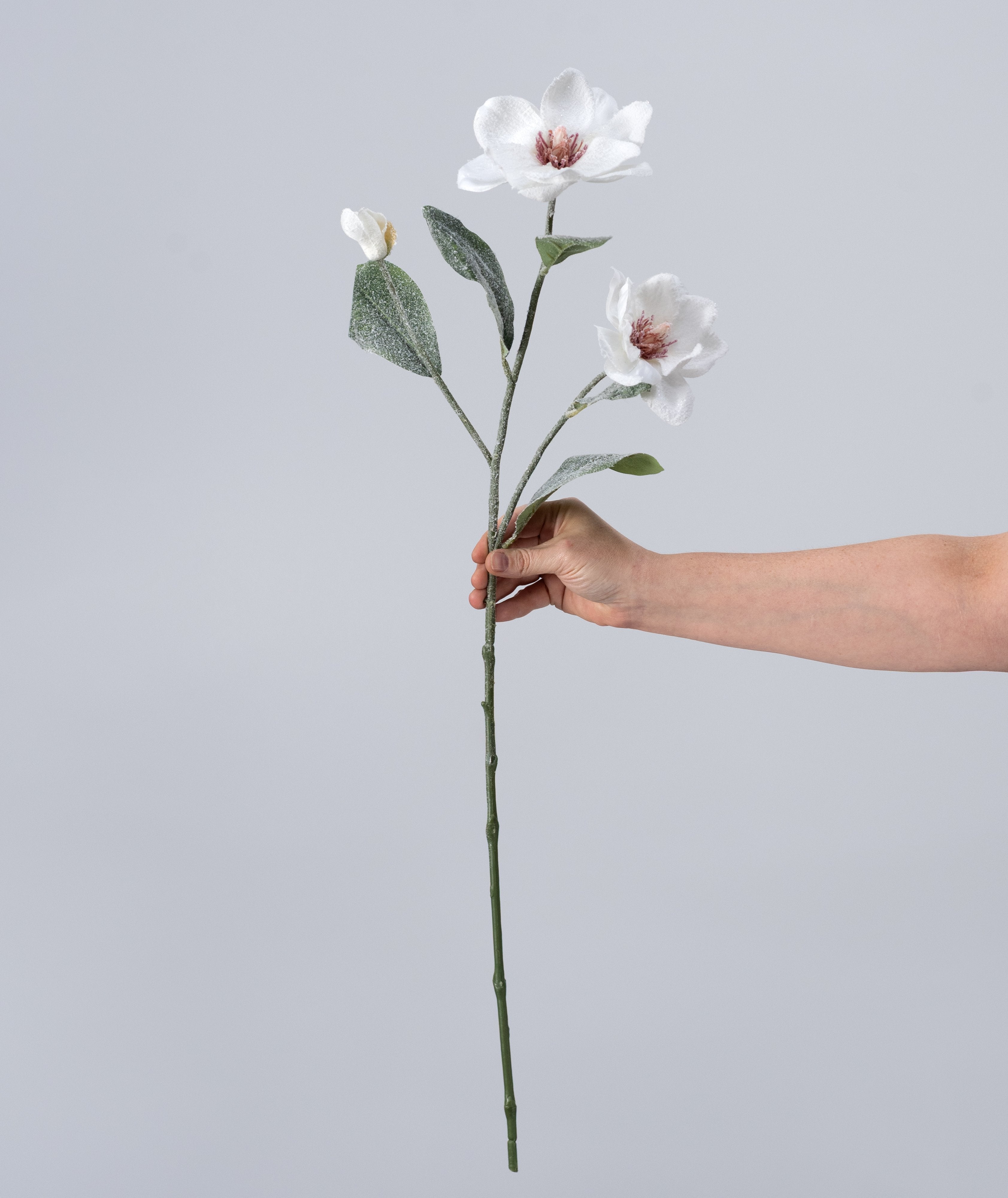 30" Frosted Magnolia Flower Spray: Snow White detail photo 3