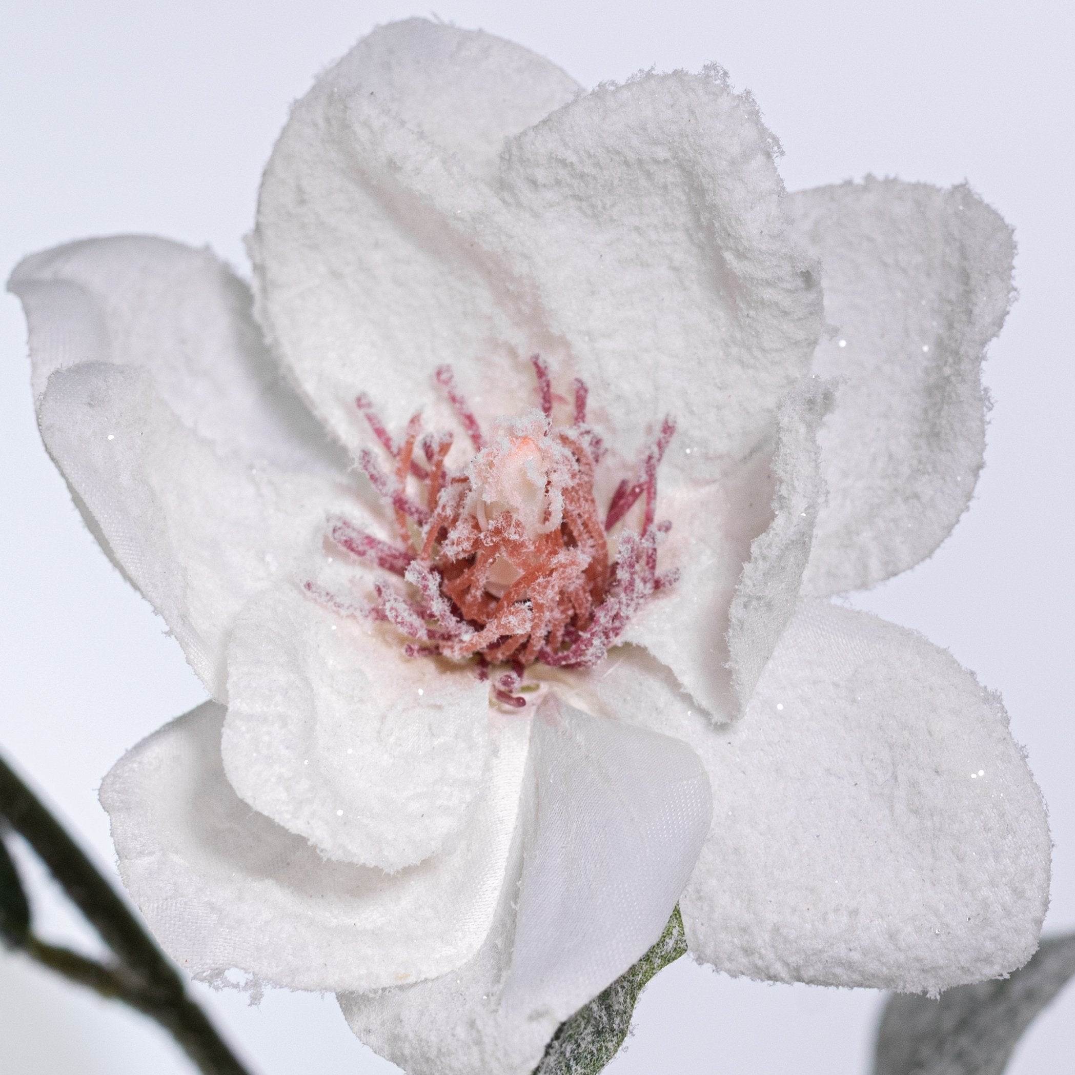 30" Frosted Magnolia Flower Spray: Snow White detail photo 5