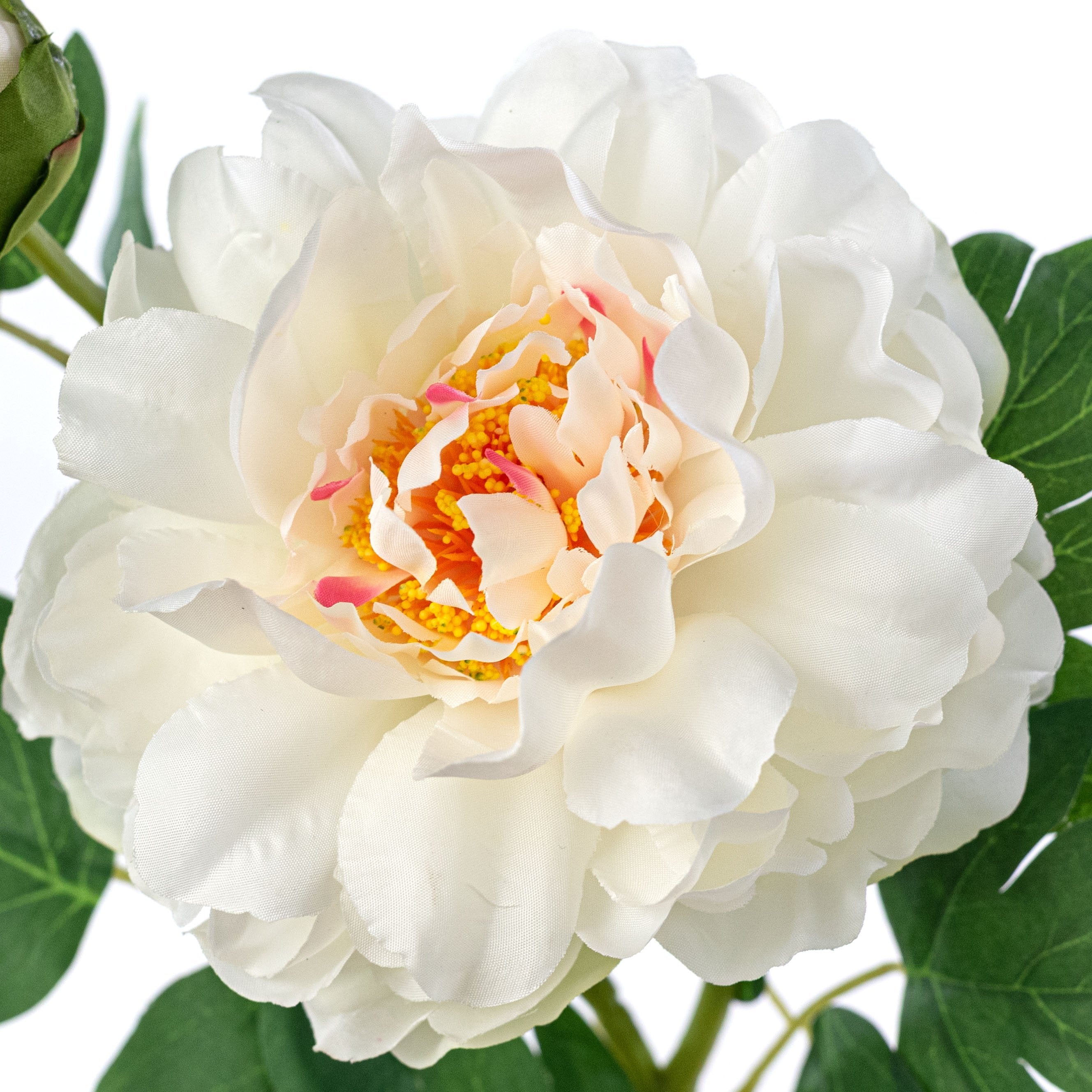 30" Peony Flower & Bud Spray: Cream Lifestyle Photo