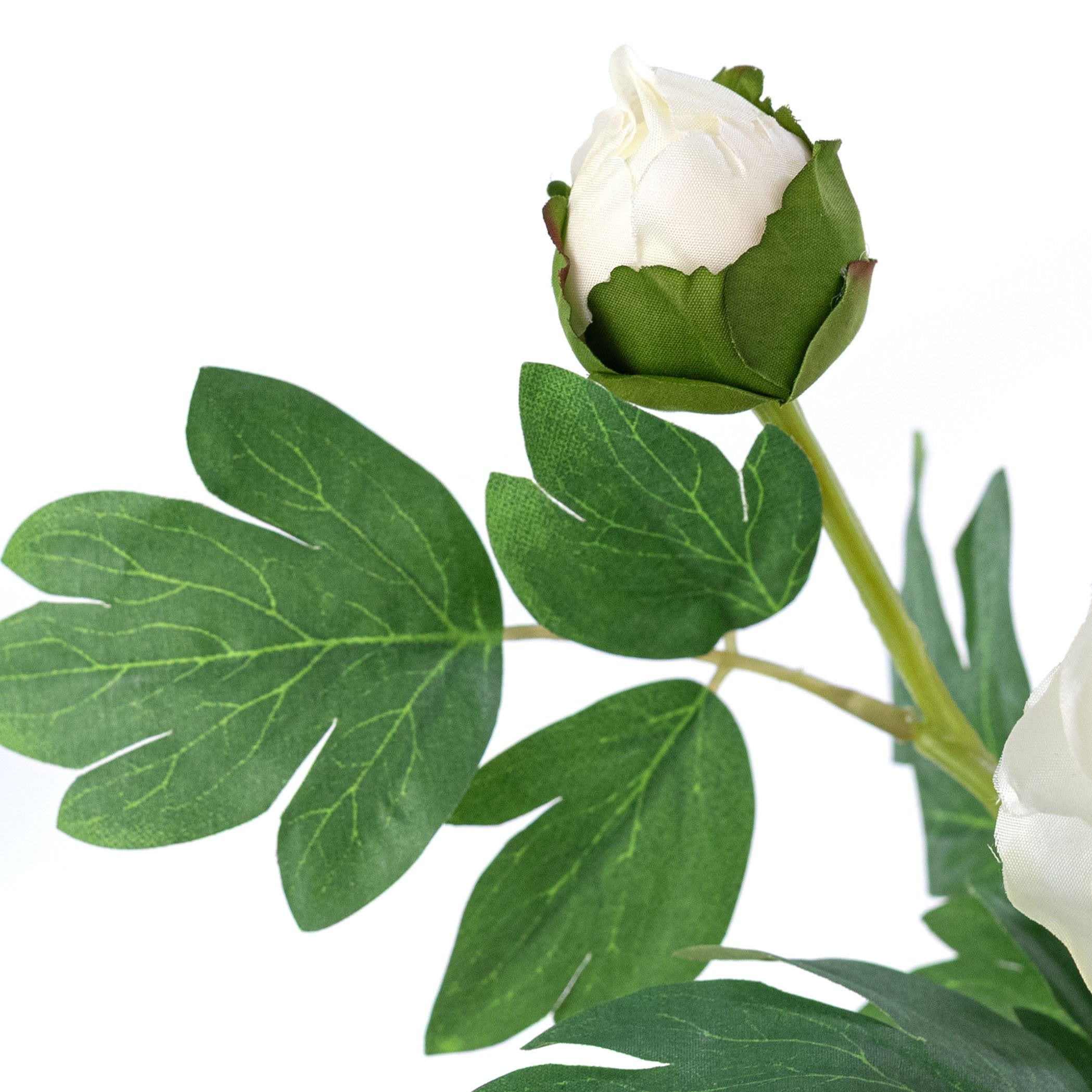 30" Peony Flower & Bud Spray: Cream detail photo 4