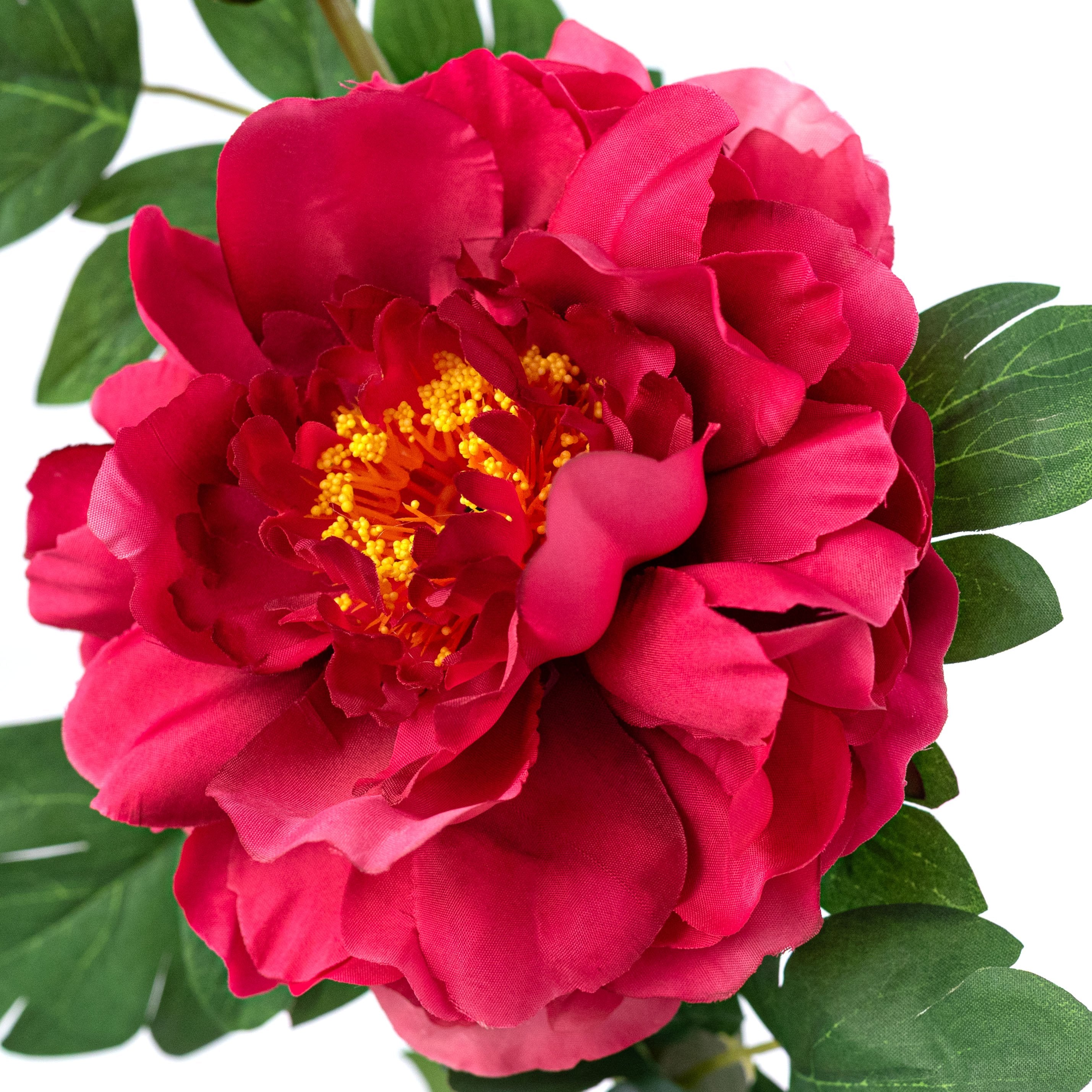 30" Peony Flower & Bud Spray: Fuchsia Pink Lifestyle Photo