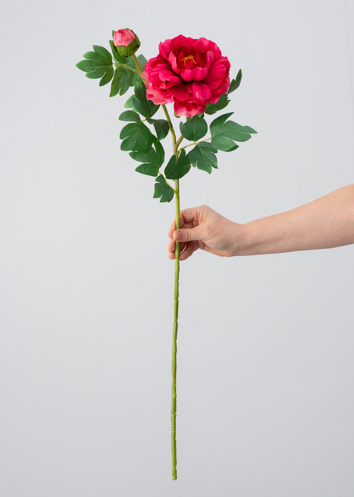 30" Peony Flower & Bud Spray: Fuchsia Pink detail photo 3