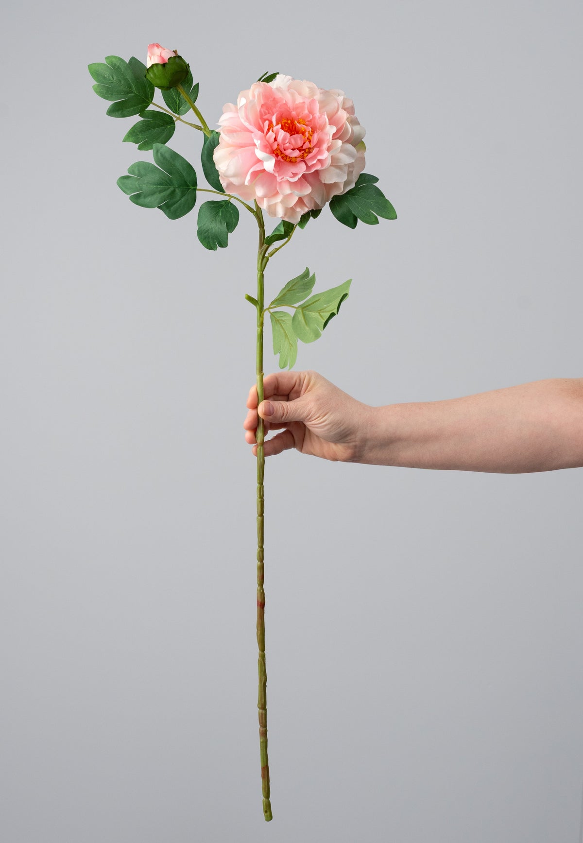 30" Peony Flower & Bud Spray: Pink detail photo 3