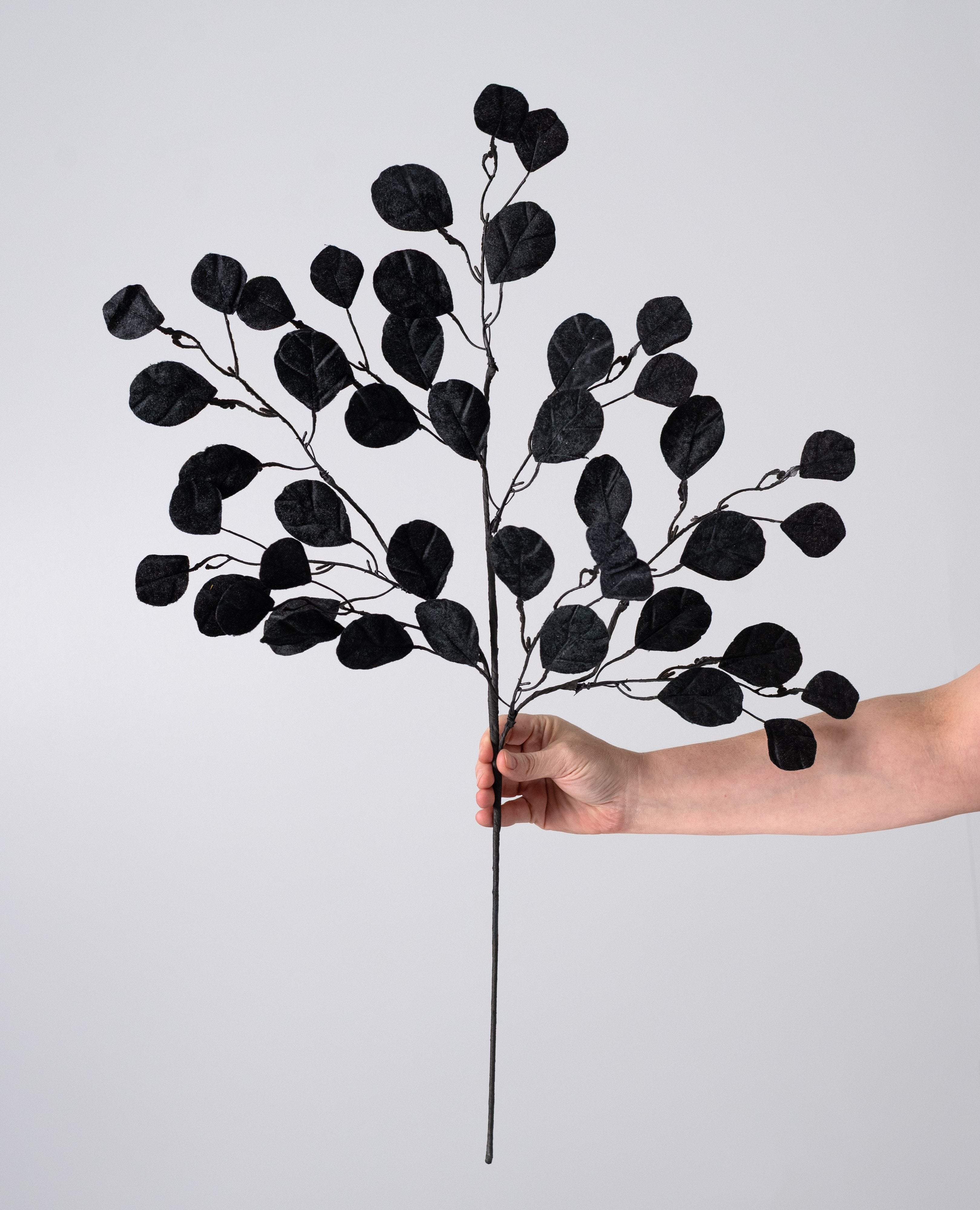 30" Velvet Eucalyptus Spray: Flat Black detail photo 3