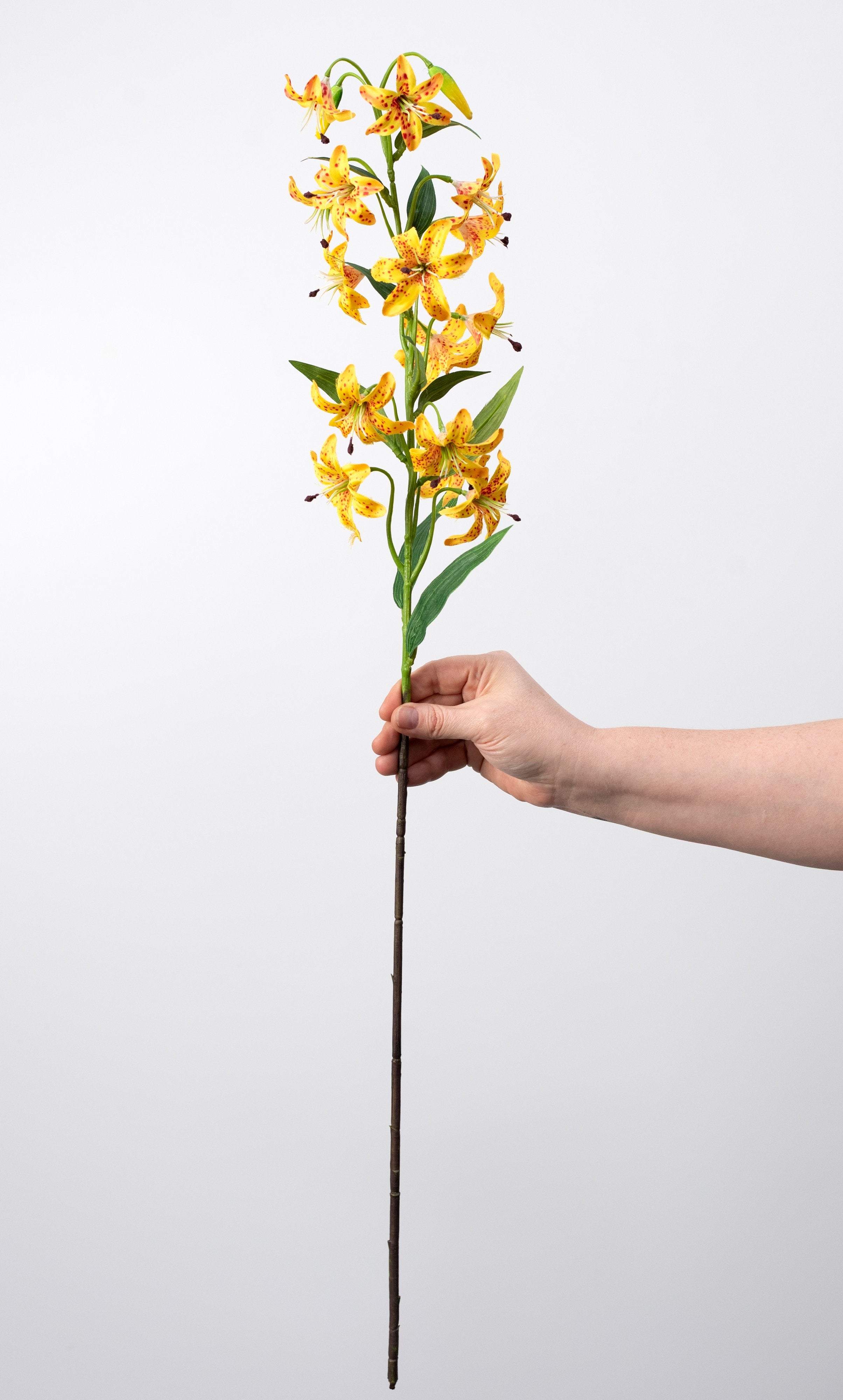 32" Cap Lily Stem: Golden Yellow detail photo 3