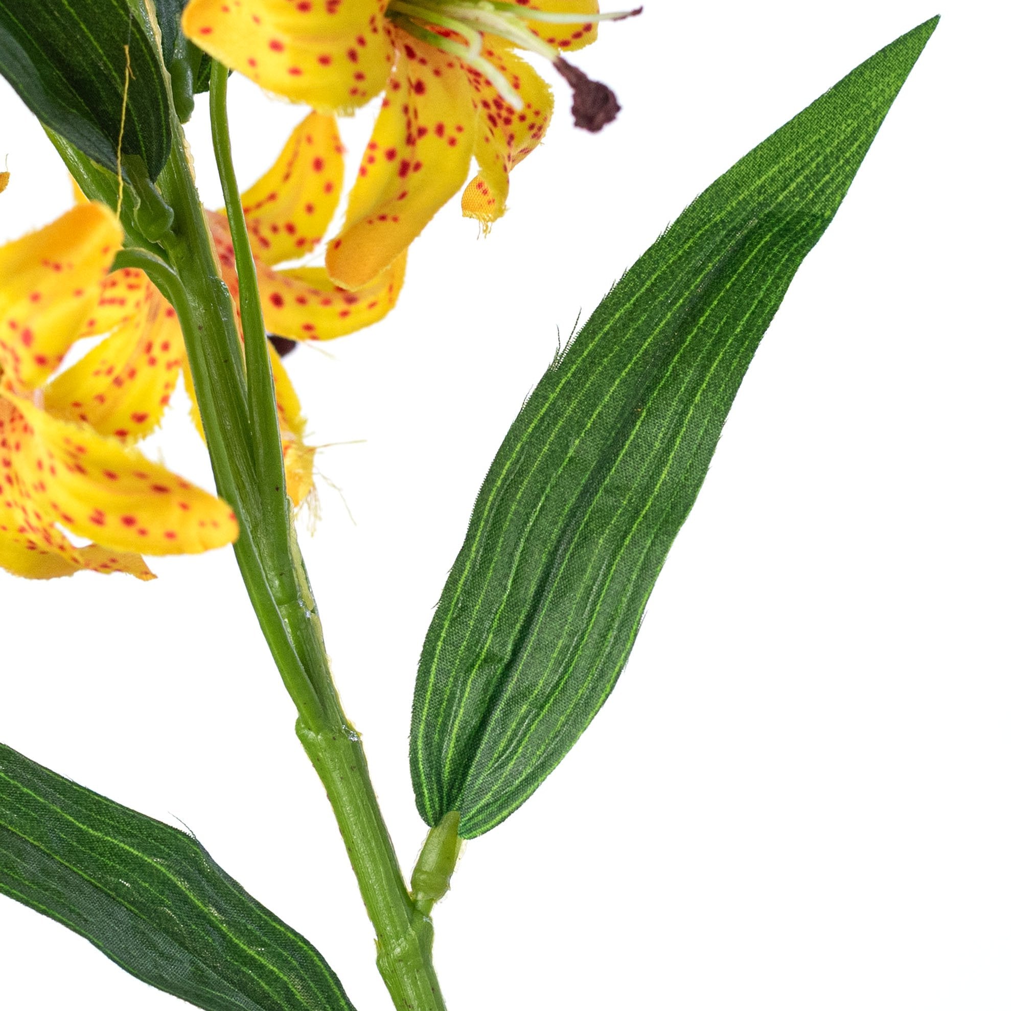 32" Cap Lily Stem: Golden Yellow detail photo 5