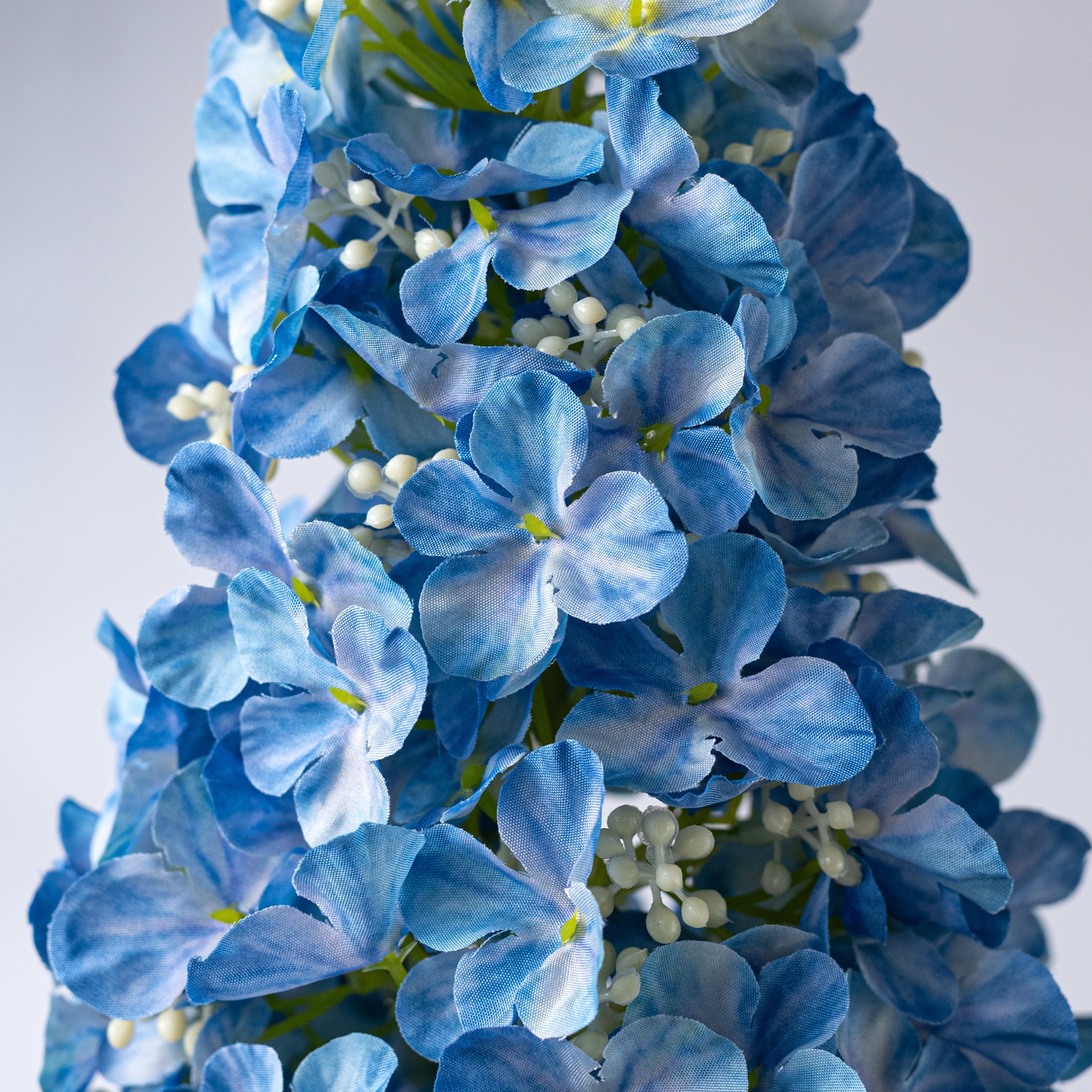 Hydrangea4936　0419 32