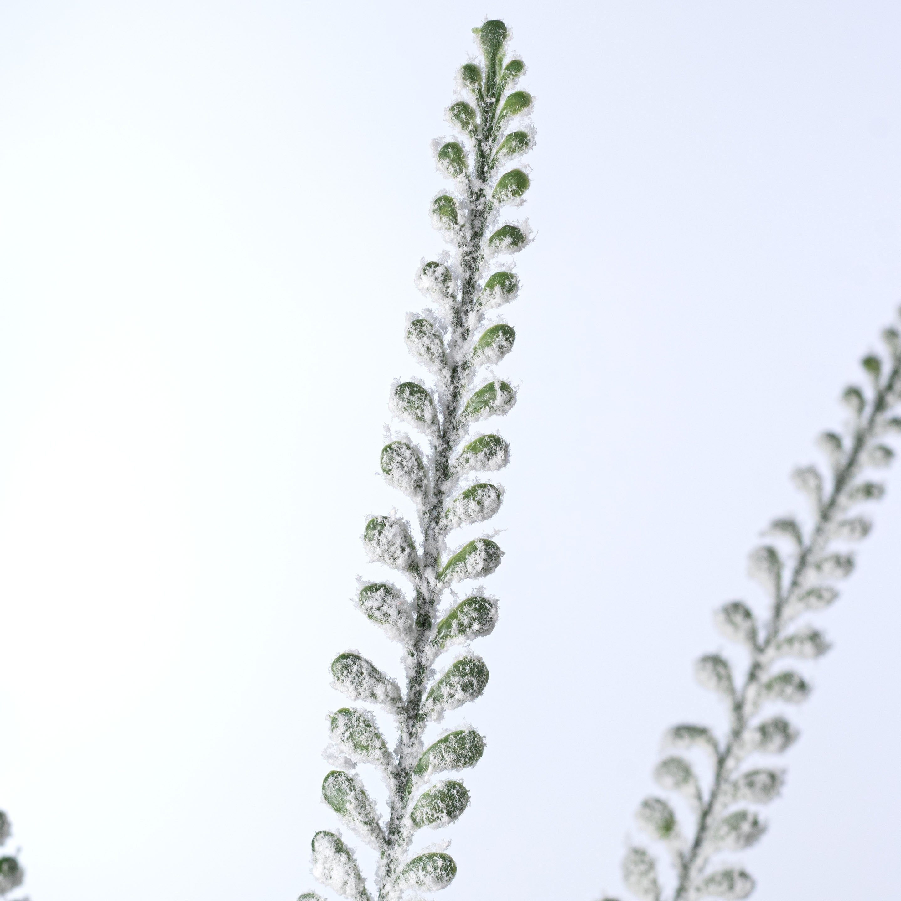 33" Plastic Button Fern Leaves Spray: Flocked Snow Green Lifestyle Photo