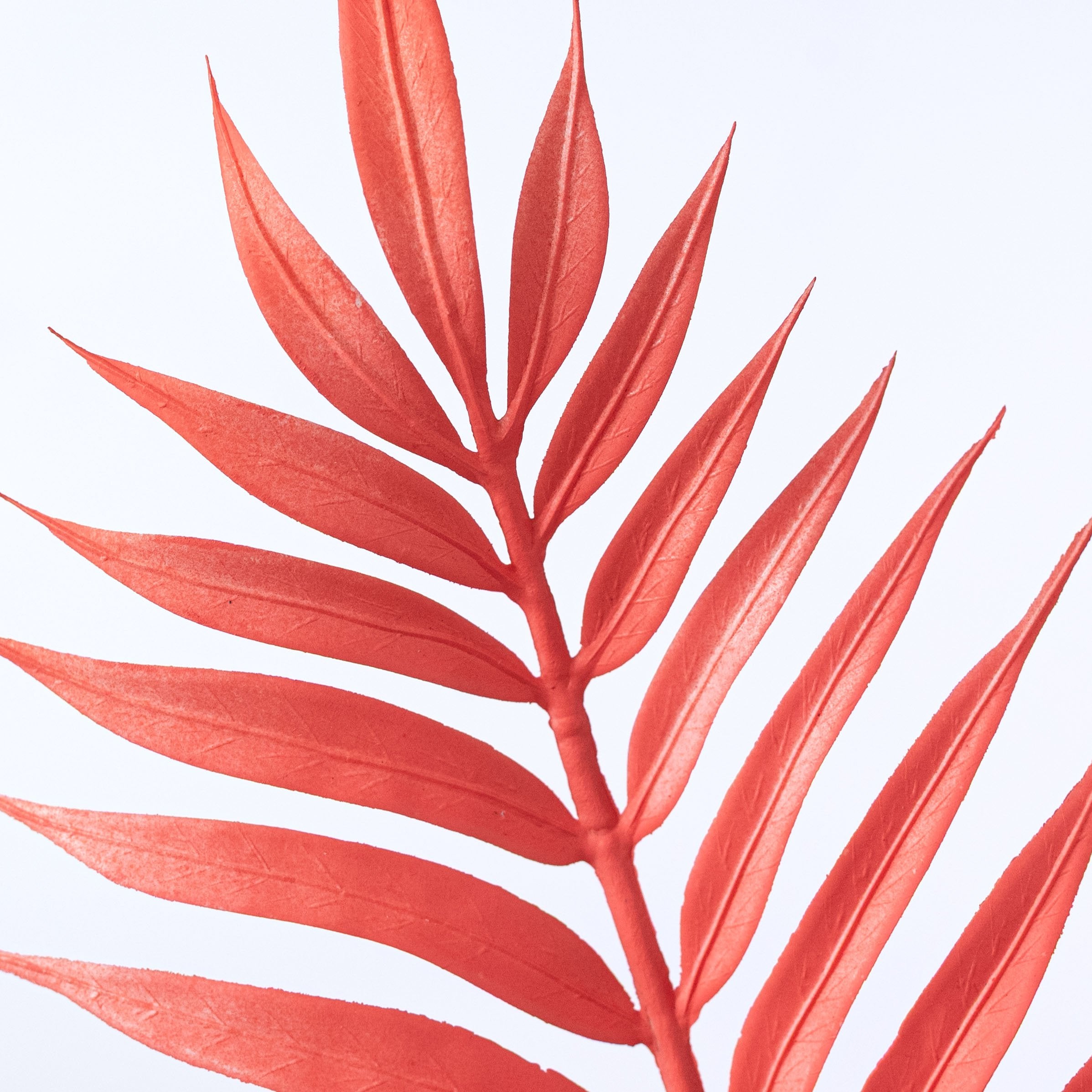 34" Plastic Palm Leaf Spray: Coral Lifestyle Photo