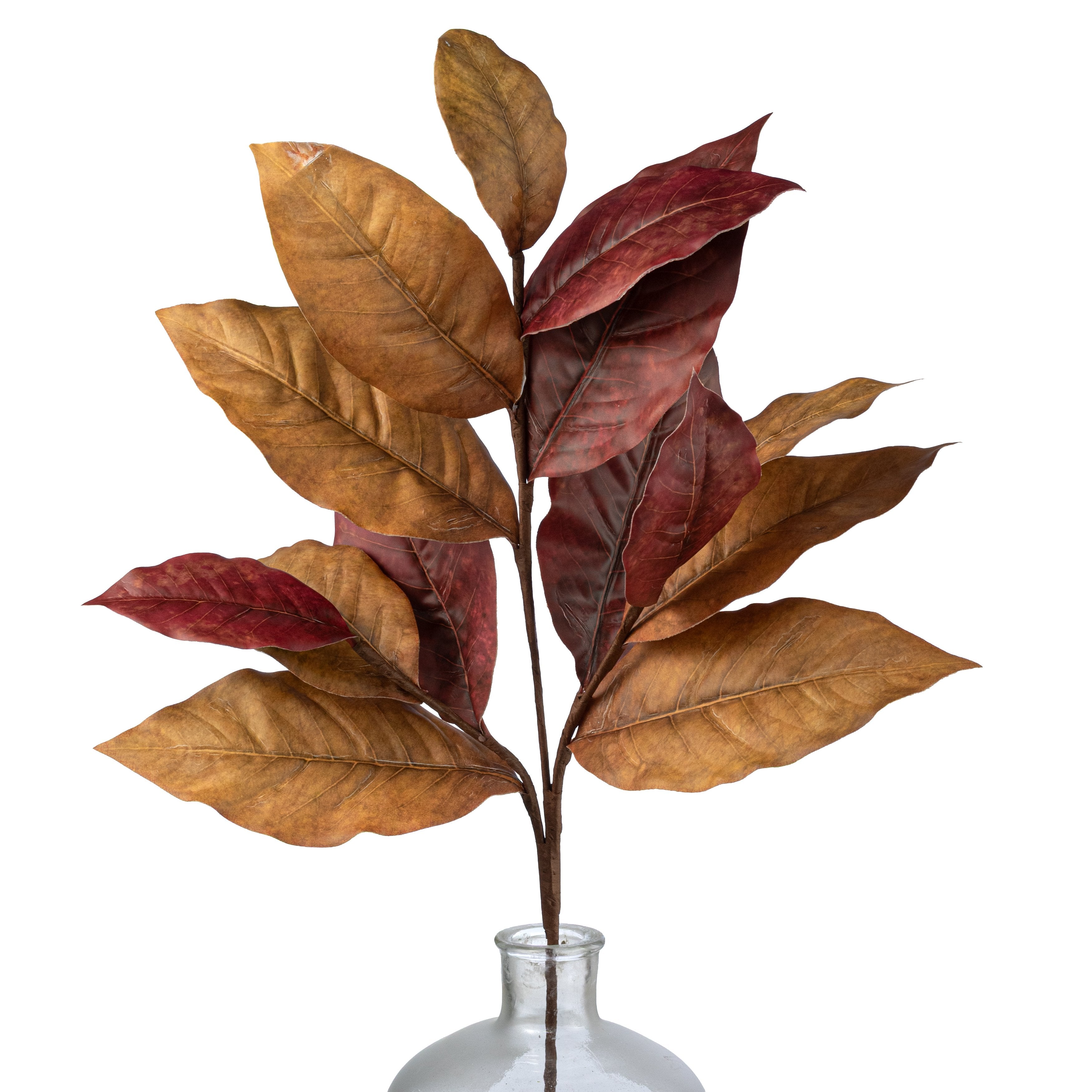 35" Magnolia Leaf Branch: Rust Brown Item Number: 2751163RB