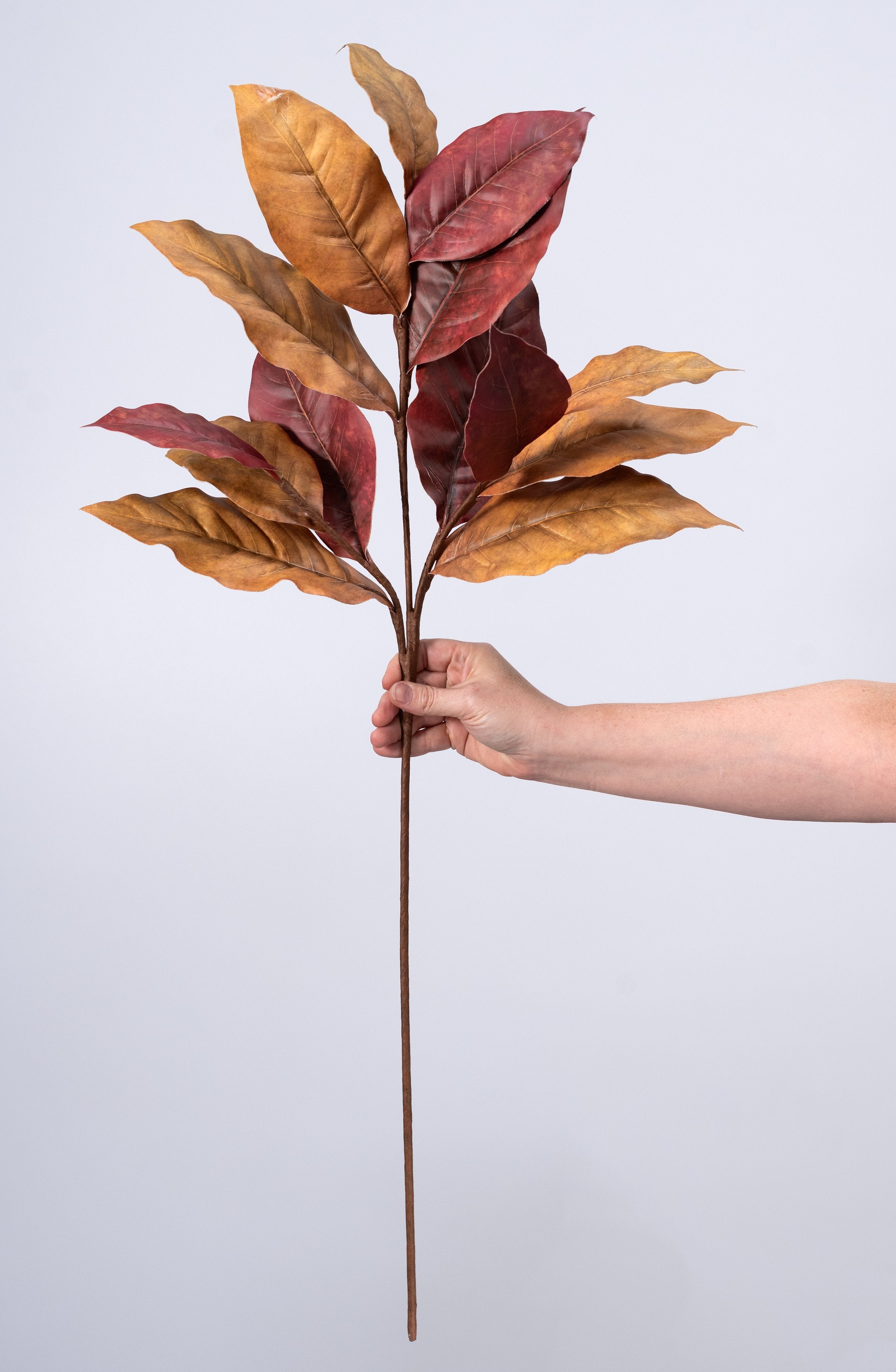 35" Magnolia Leaf Branch: Rust Brown detail photo 3
