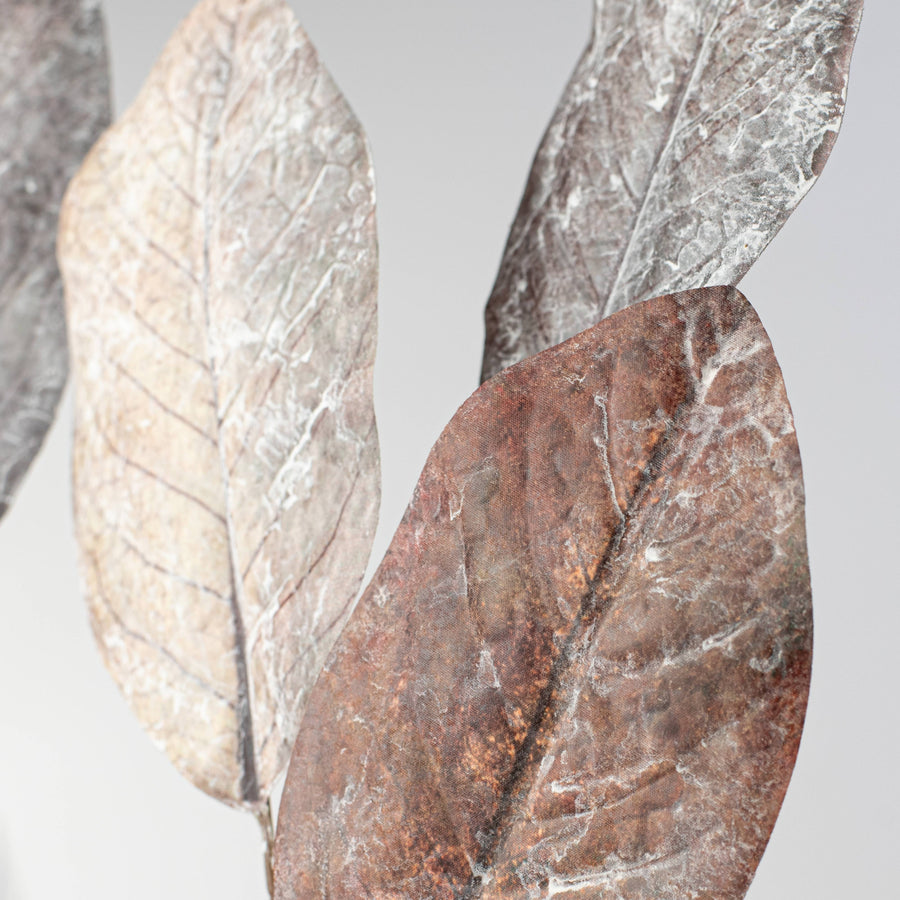 32" Magnolia Leaves Spray: Cream & Browns