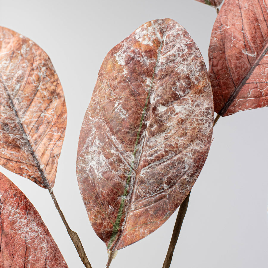 32" Magnolia Leaves Spray: Rust & Browns
