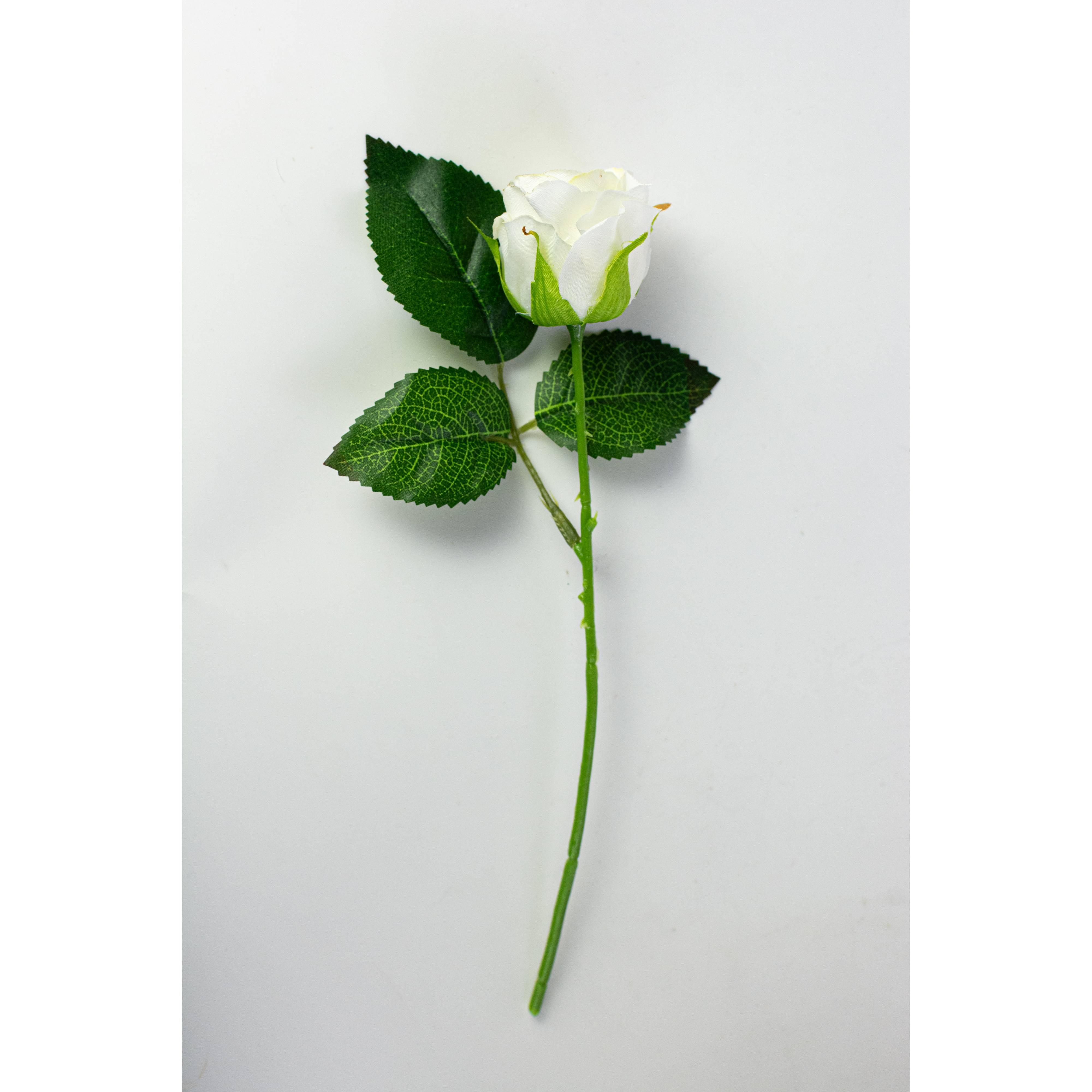 10" Melanie Rose Bouquet: Cream (12 Stem)