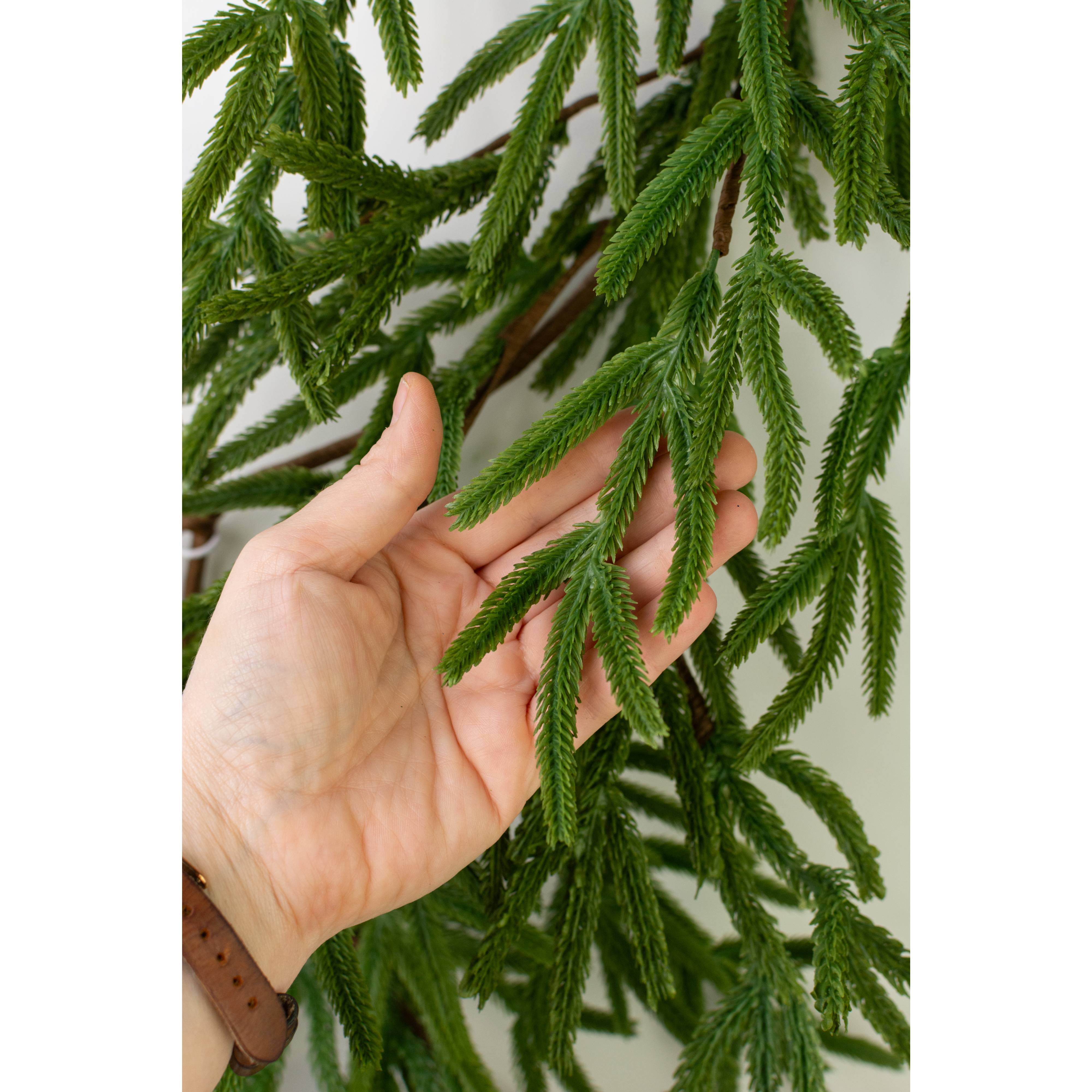 6' Real Touch Norfolk Island Pine Garland