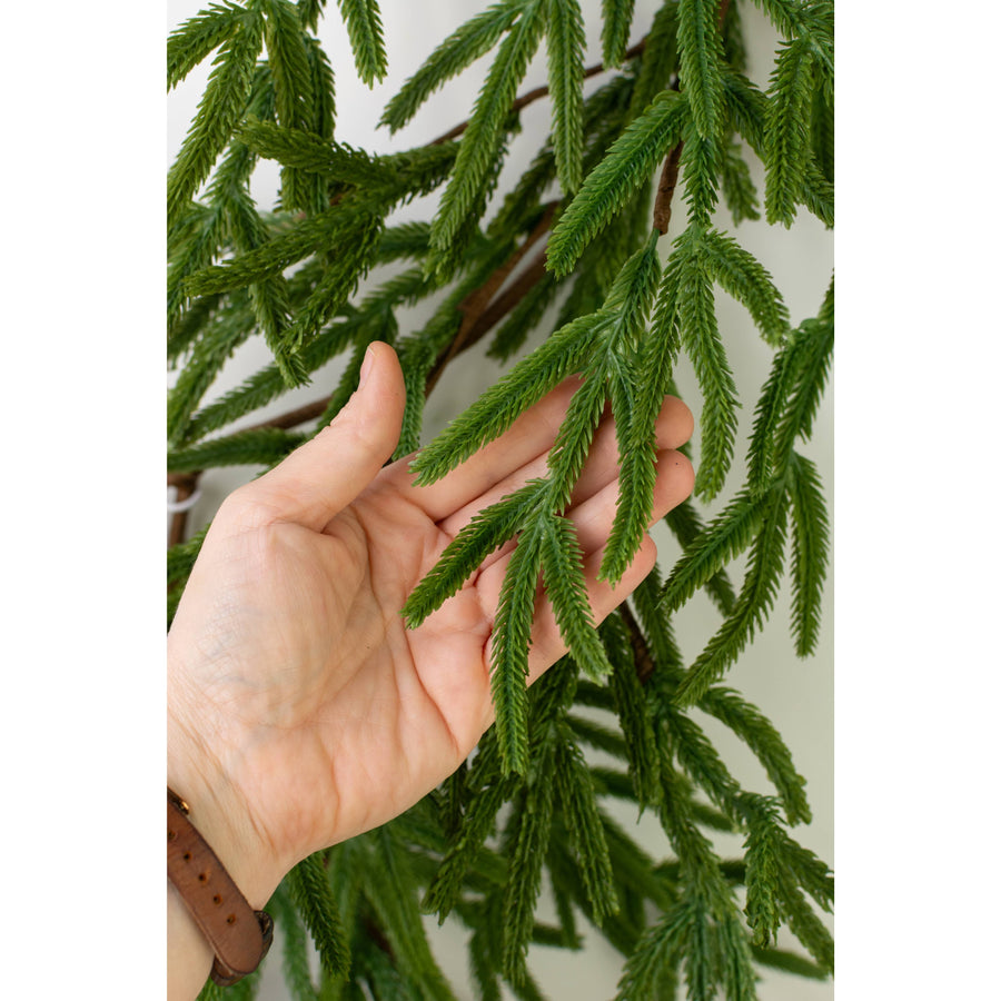 6' Real Touch Norfolk Island Pine Garland