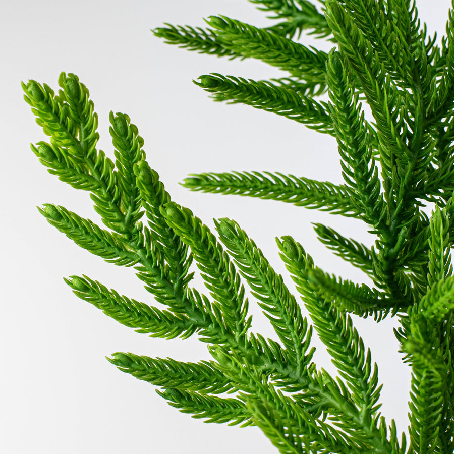 28" Norfolk Pine Spray: Green
