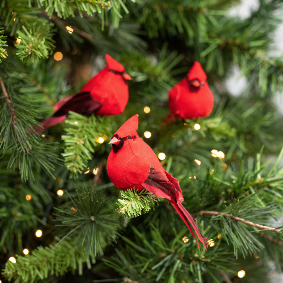 4" Feather Cardinal Clip Ornaments (Box of 12)