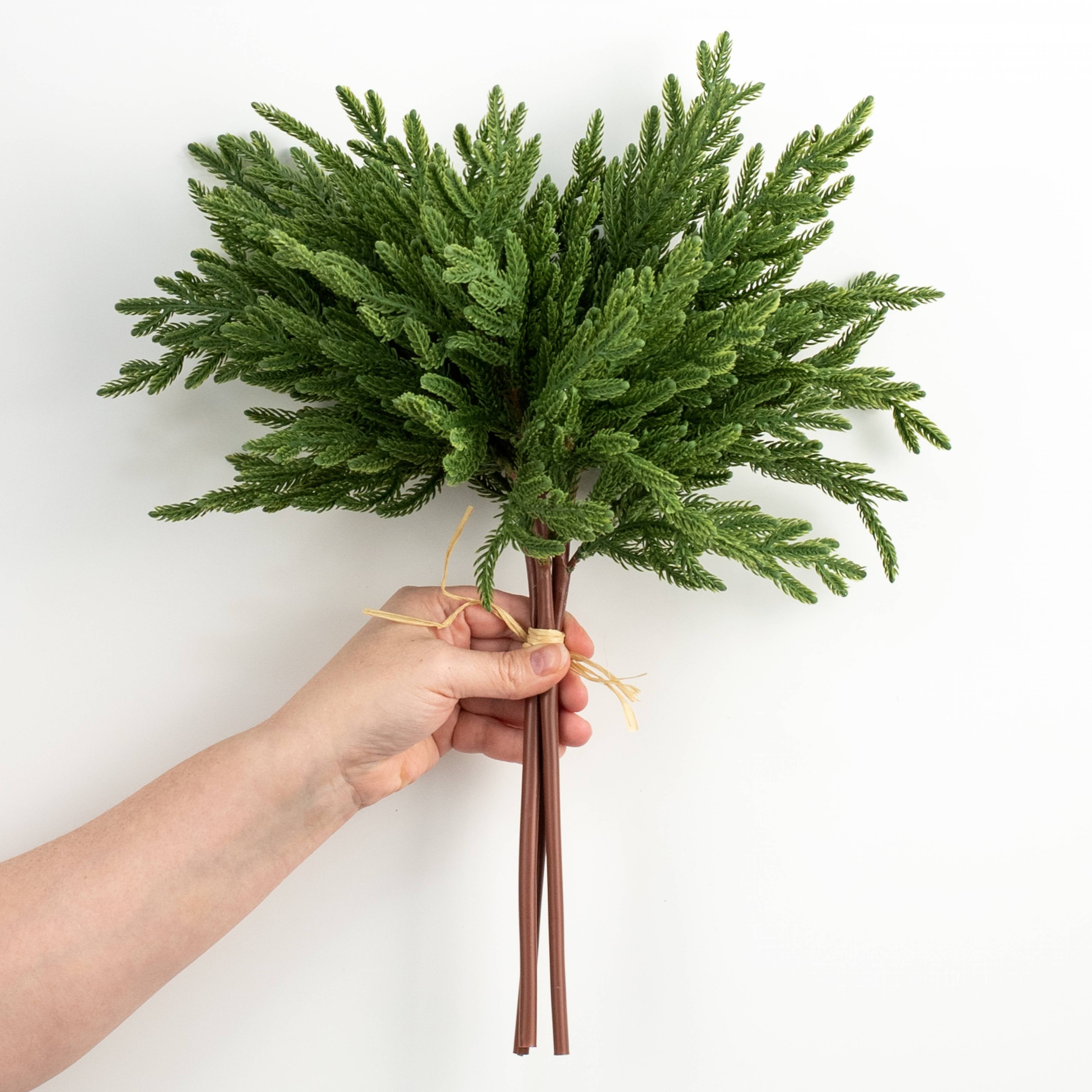 18" Norfolk Pine Spray Bundle: Dark Green