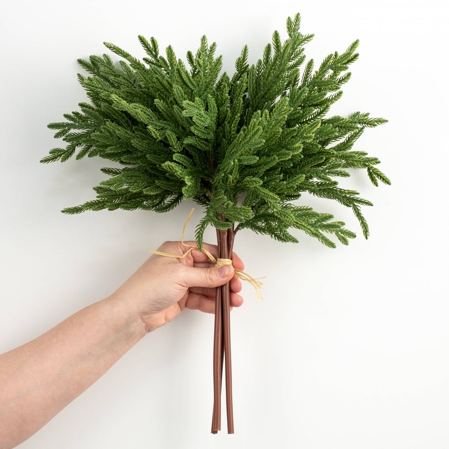 18" Norfolk Pine Spray Bundle: Dark Green