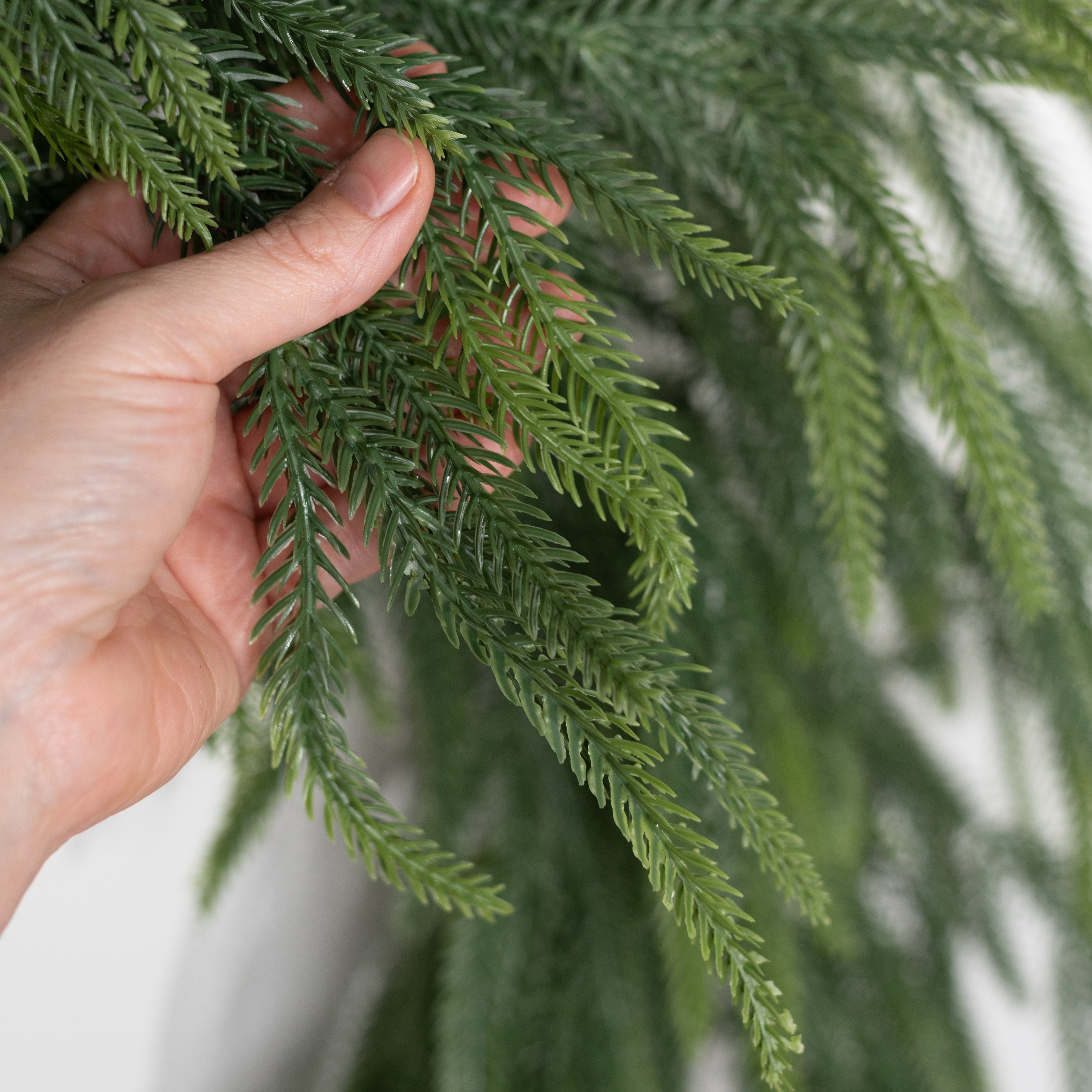 72" Real Touch Norfolk Pine Garland: Evergreen (87 Tips) detail photo 4