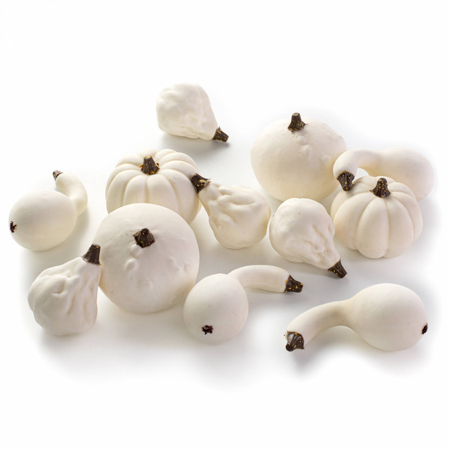 Assorted Mini Artificial Pumpkins & Gourds: White / Cream (Bag of 12)