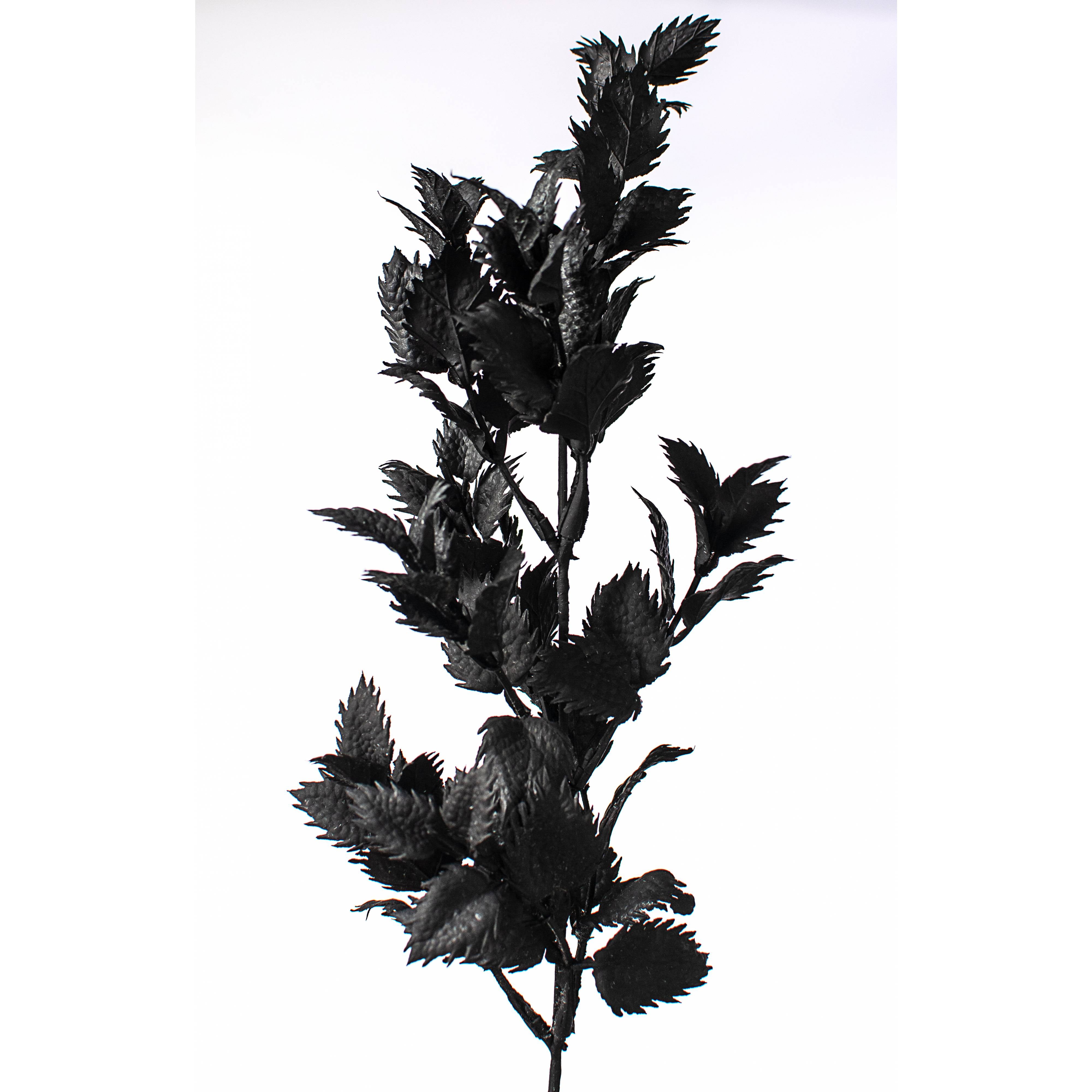19" Spiky Thistle Leaves Bush: Black