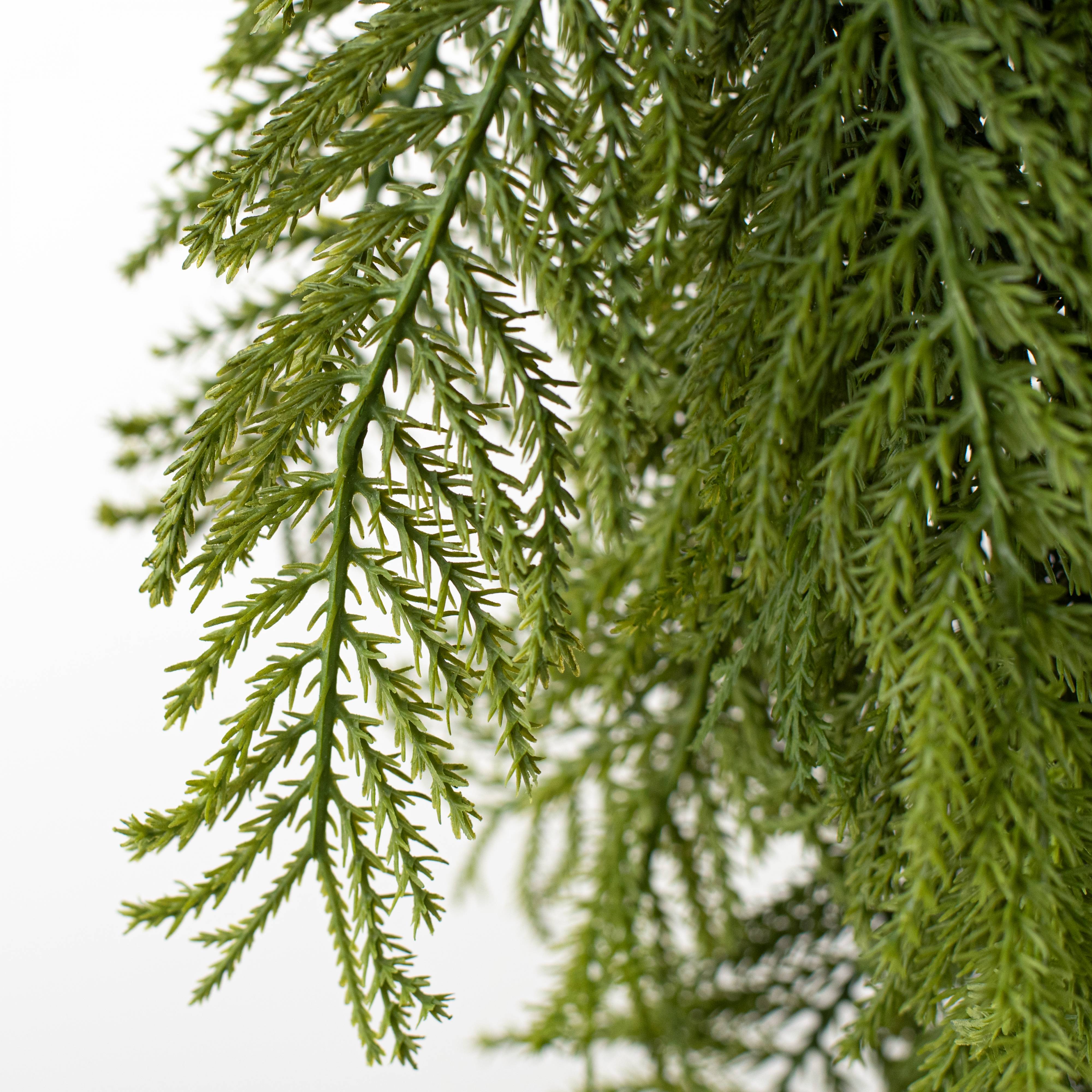 24" Fern Pine Teardrop: Green