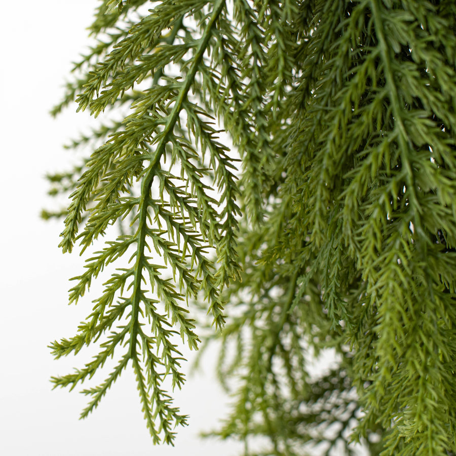 24" Fern Pine Teardrop: Green