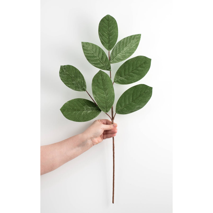 25" Velvet Magnolia Leaves Spray: Sage Green
