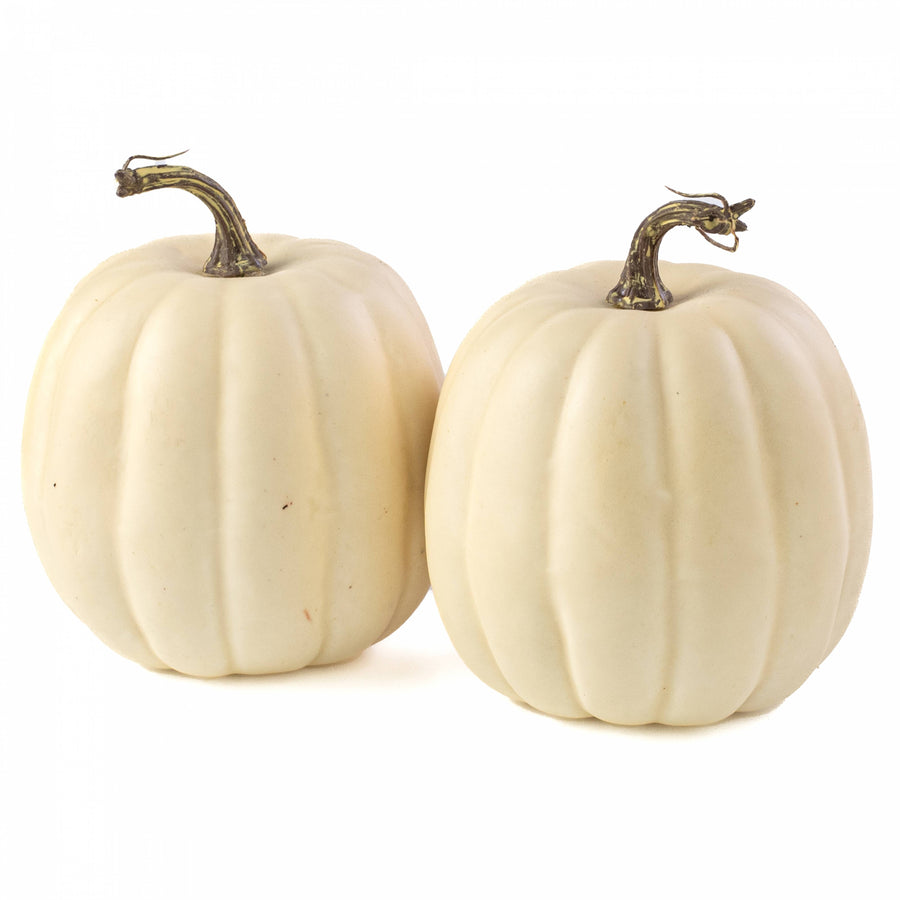 6.5" Artificial Pumpkins: Cream / White (Set of 2)