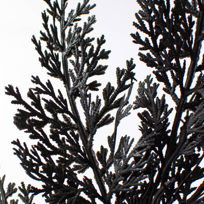 19" Fern Leaves Filler Bush: Black