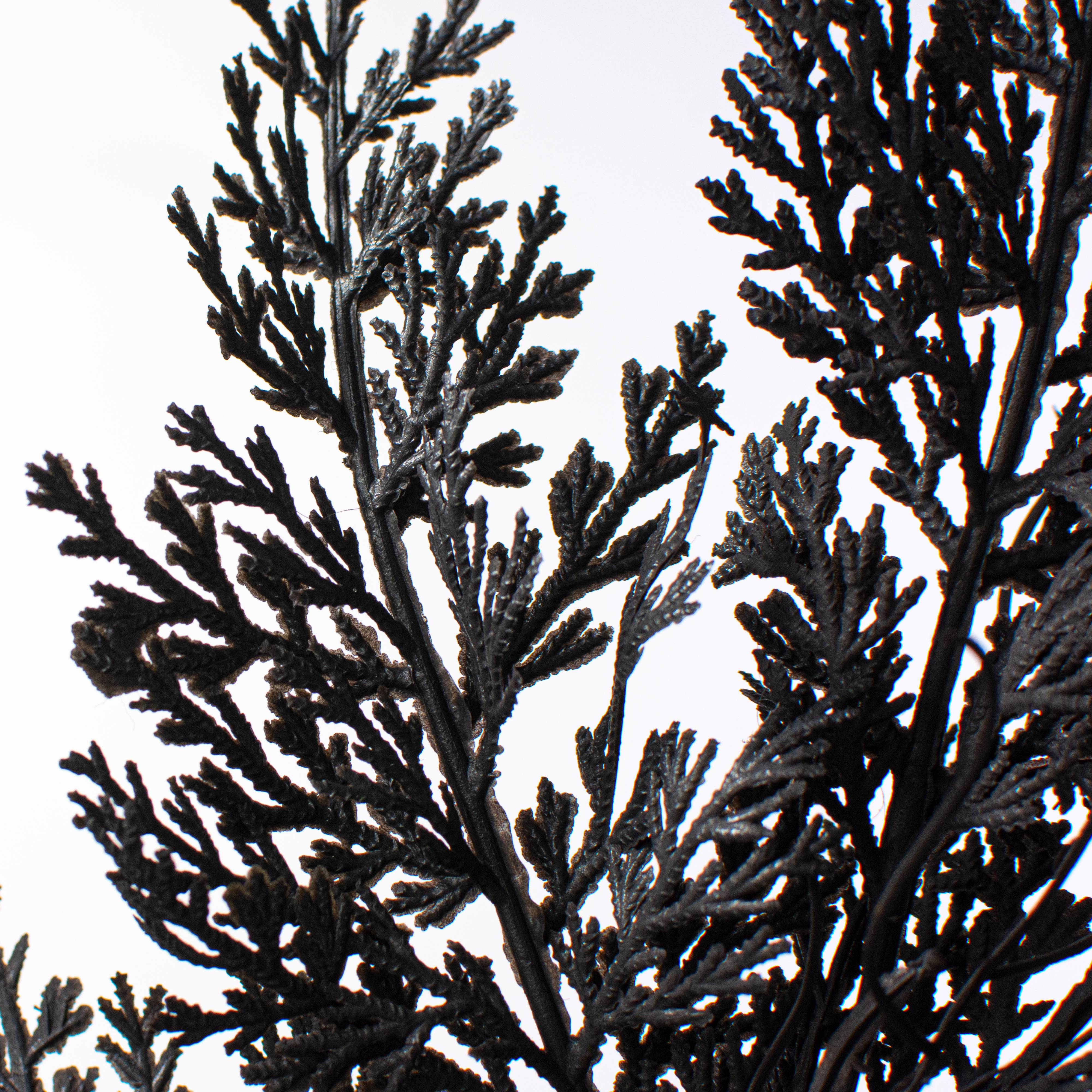 19" Fern Leaves Filler Bush: Black