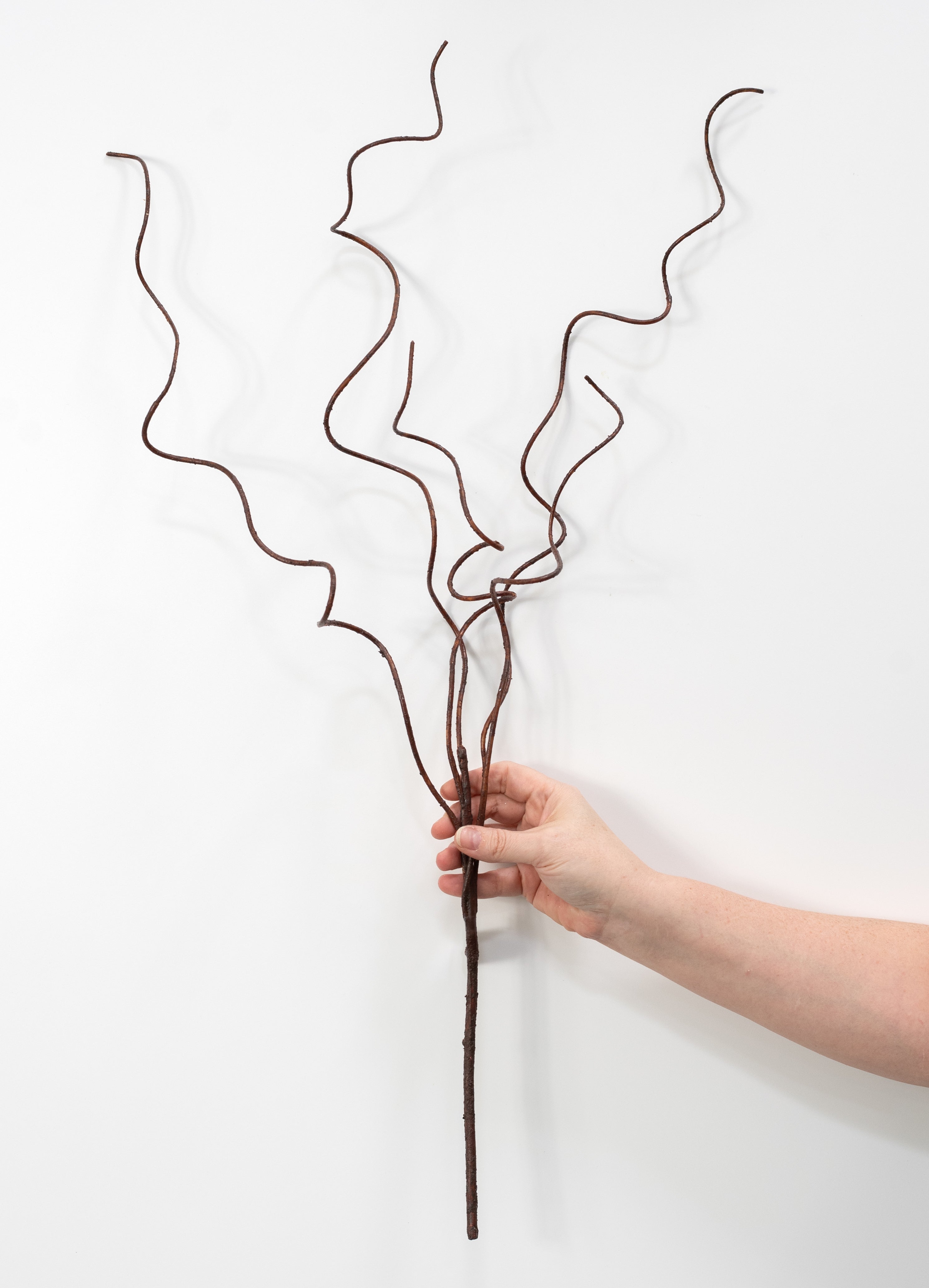 37" Curly Willow Branches: Coffee Brown