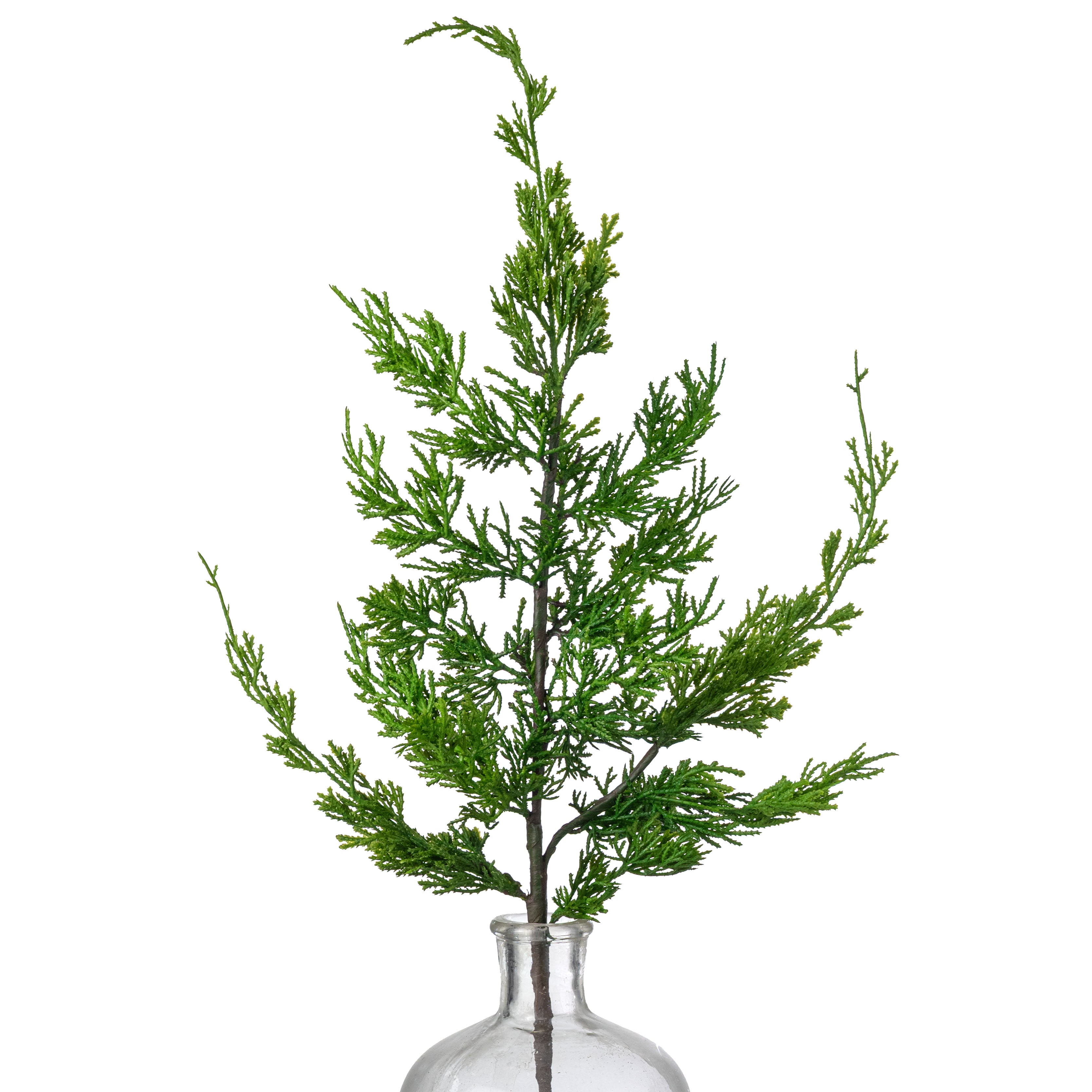 25" Cedar Pine Spray