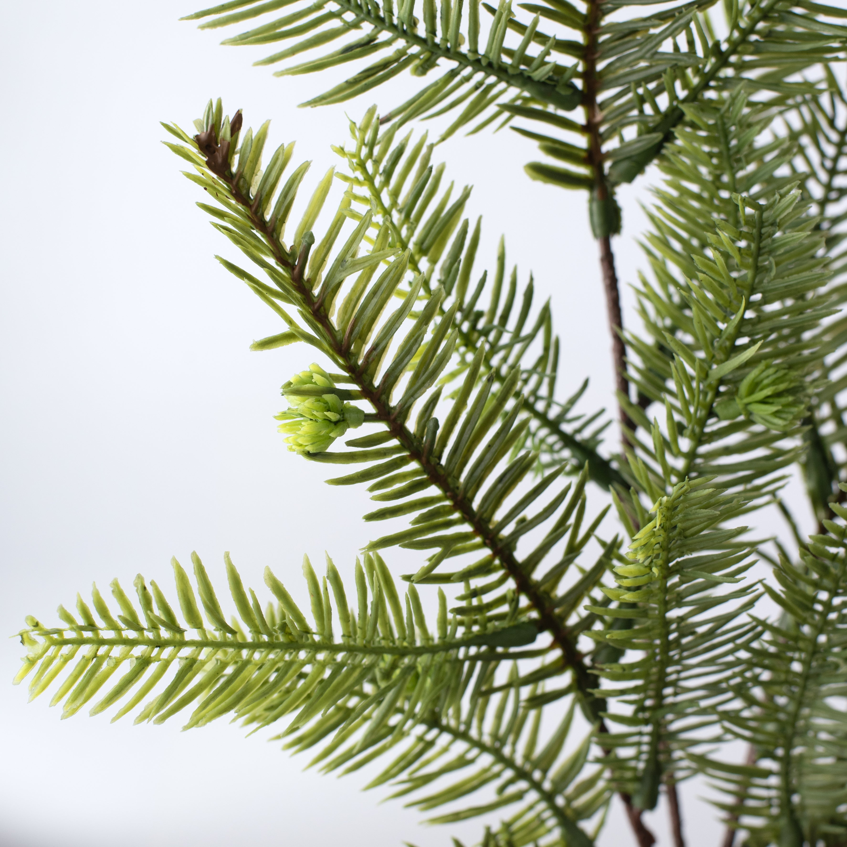 17" Hemlock Pine Spray