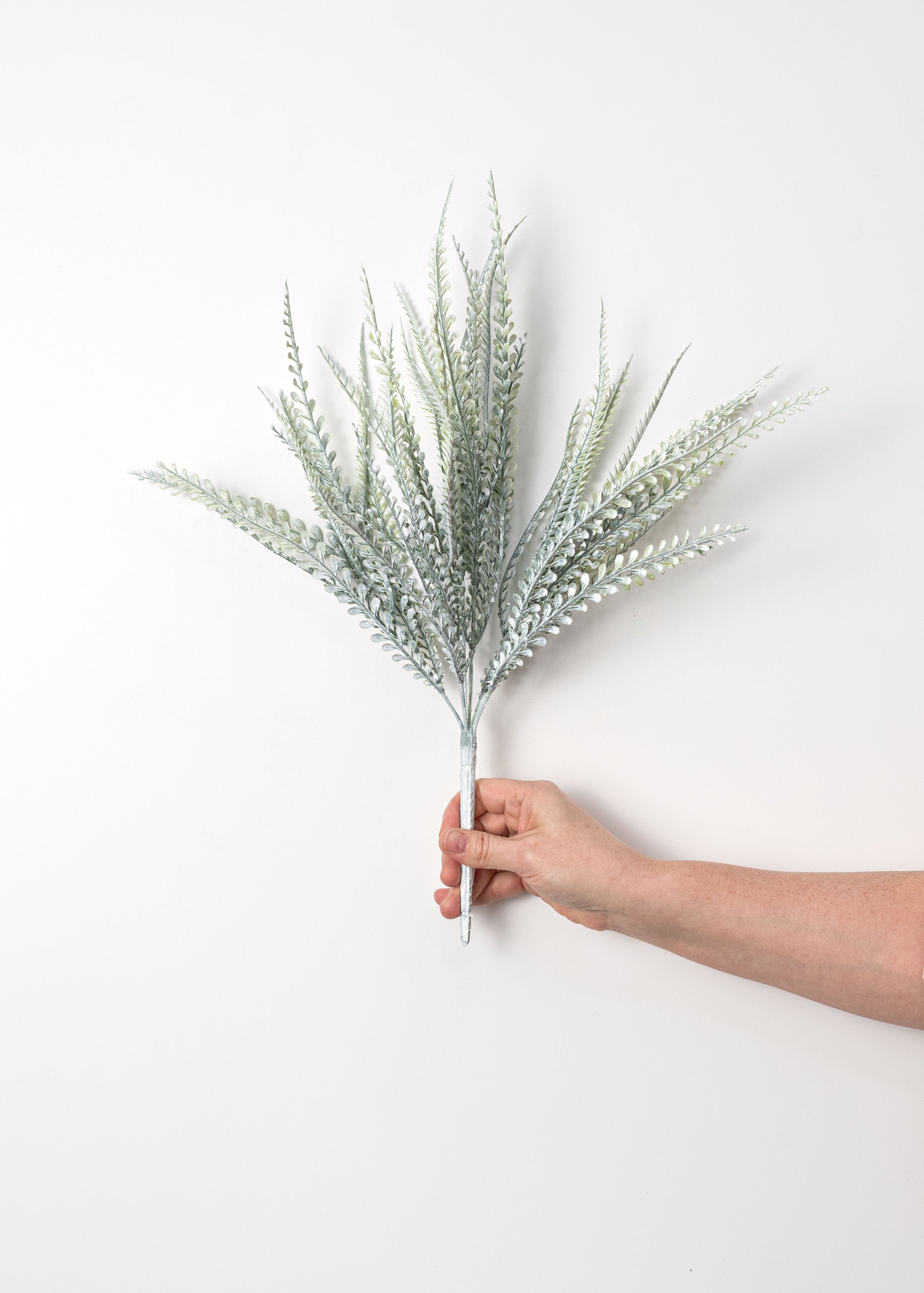 17" Button Sword Fern Bush: White Wash Green