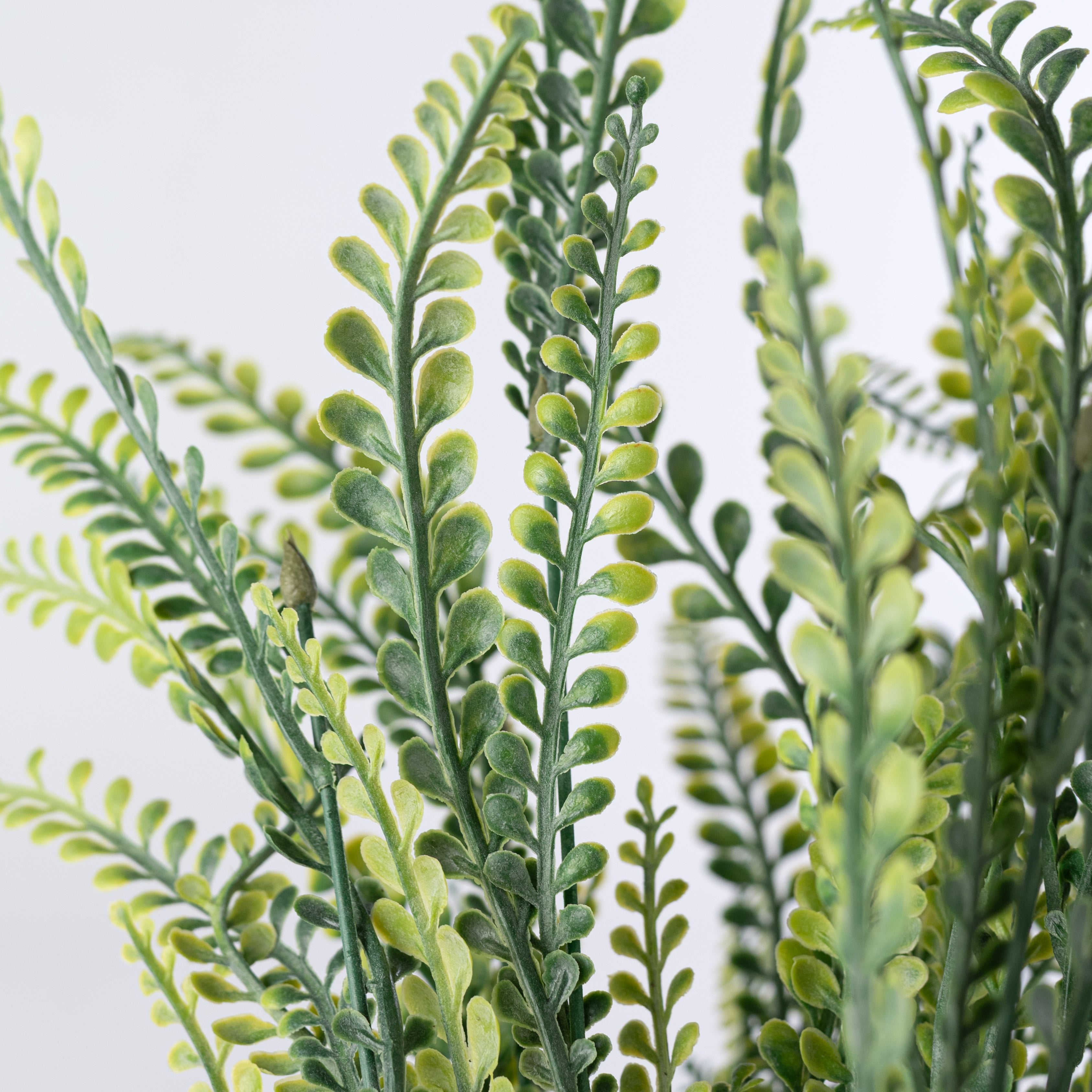 21" Plastic Button Fern Bush